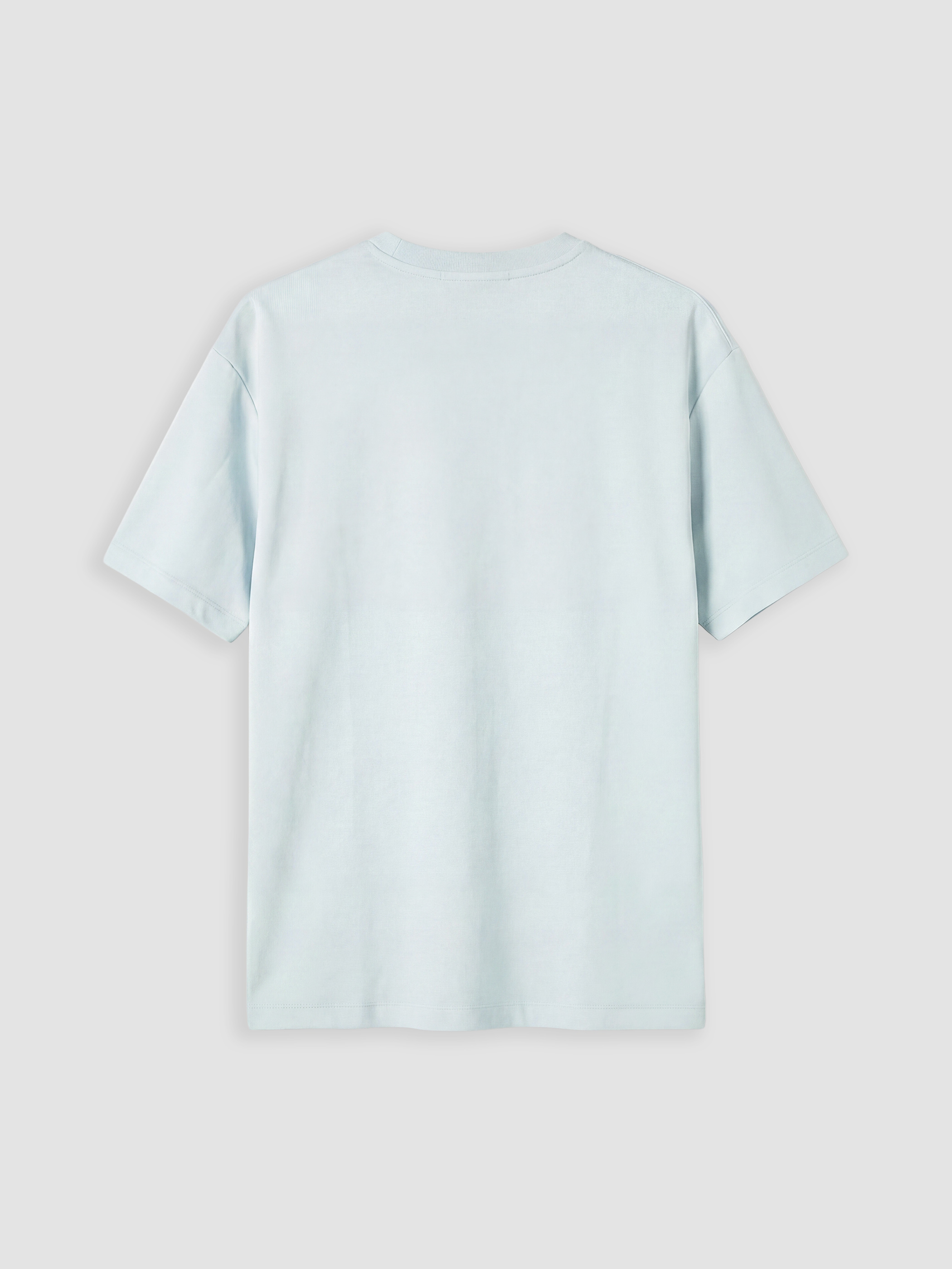 XSIDE Regular Fit Bisiklet Yaka Erkek Tişört görsel 6