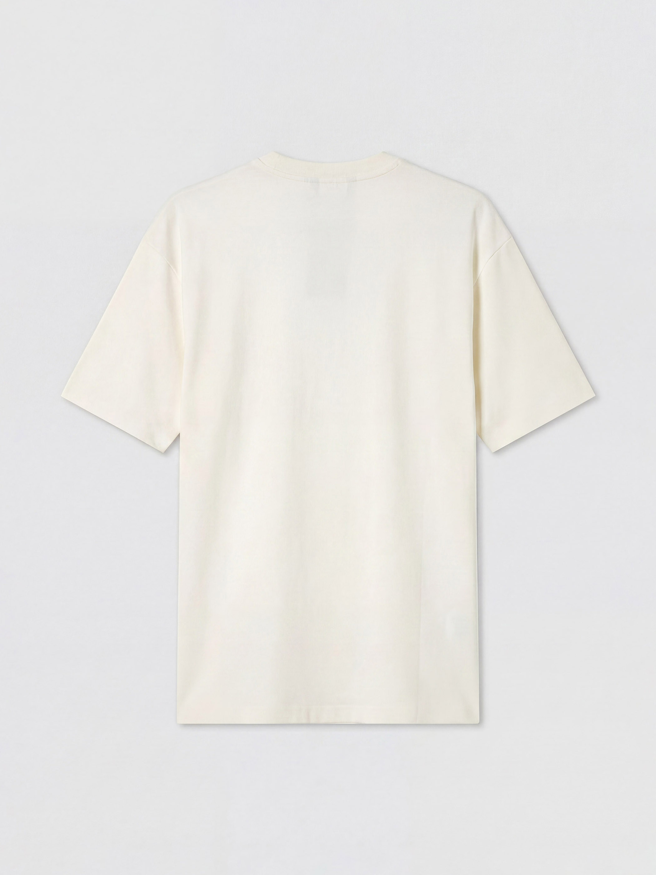 XSIDE Regular Fit Bisiklet Yaka Erkek Tişört görsel 6
