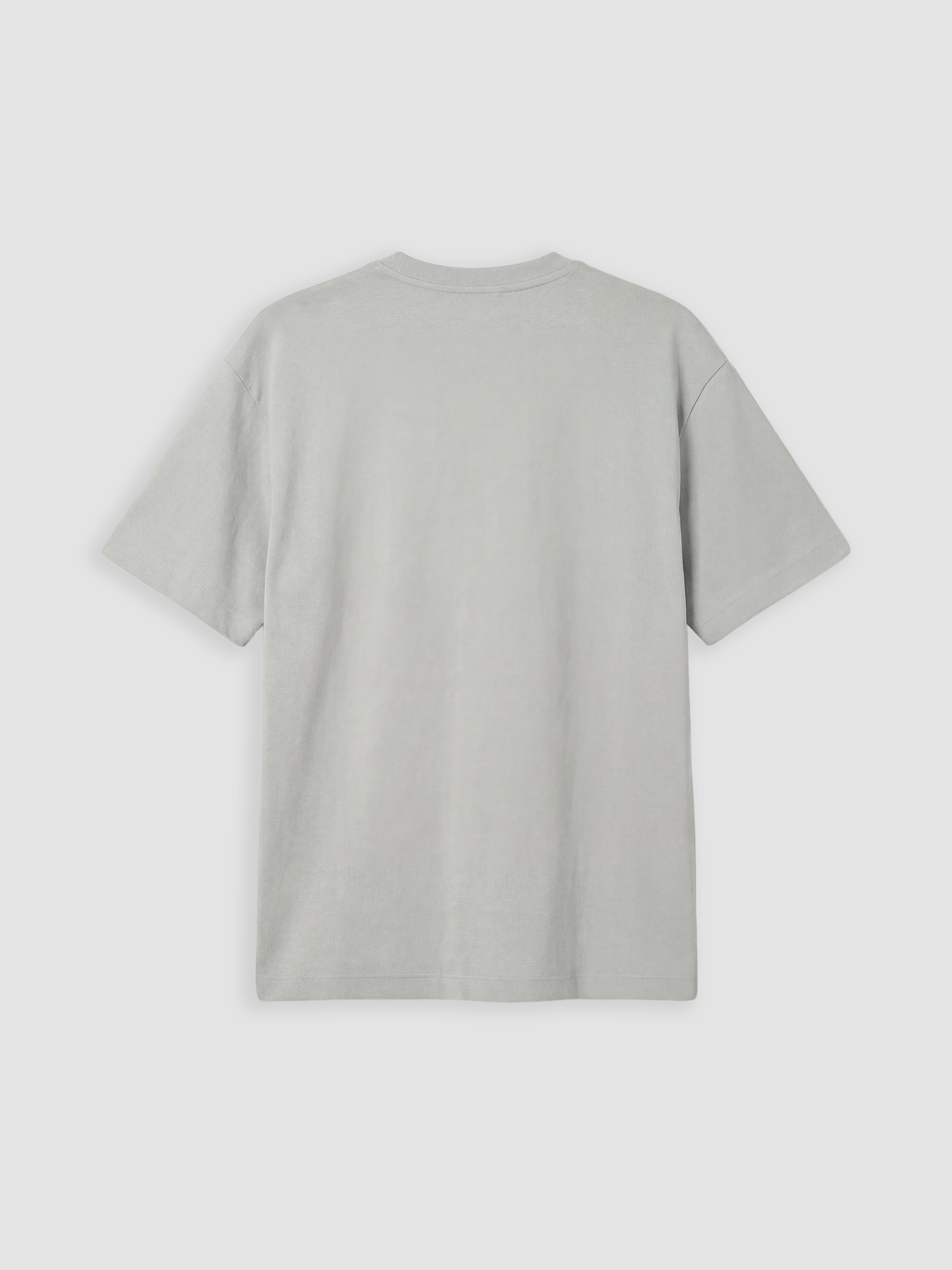 XSIDE Regular Fit Bisiklet Yaka Erkek Tişört görsel 6
