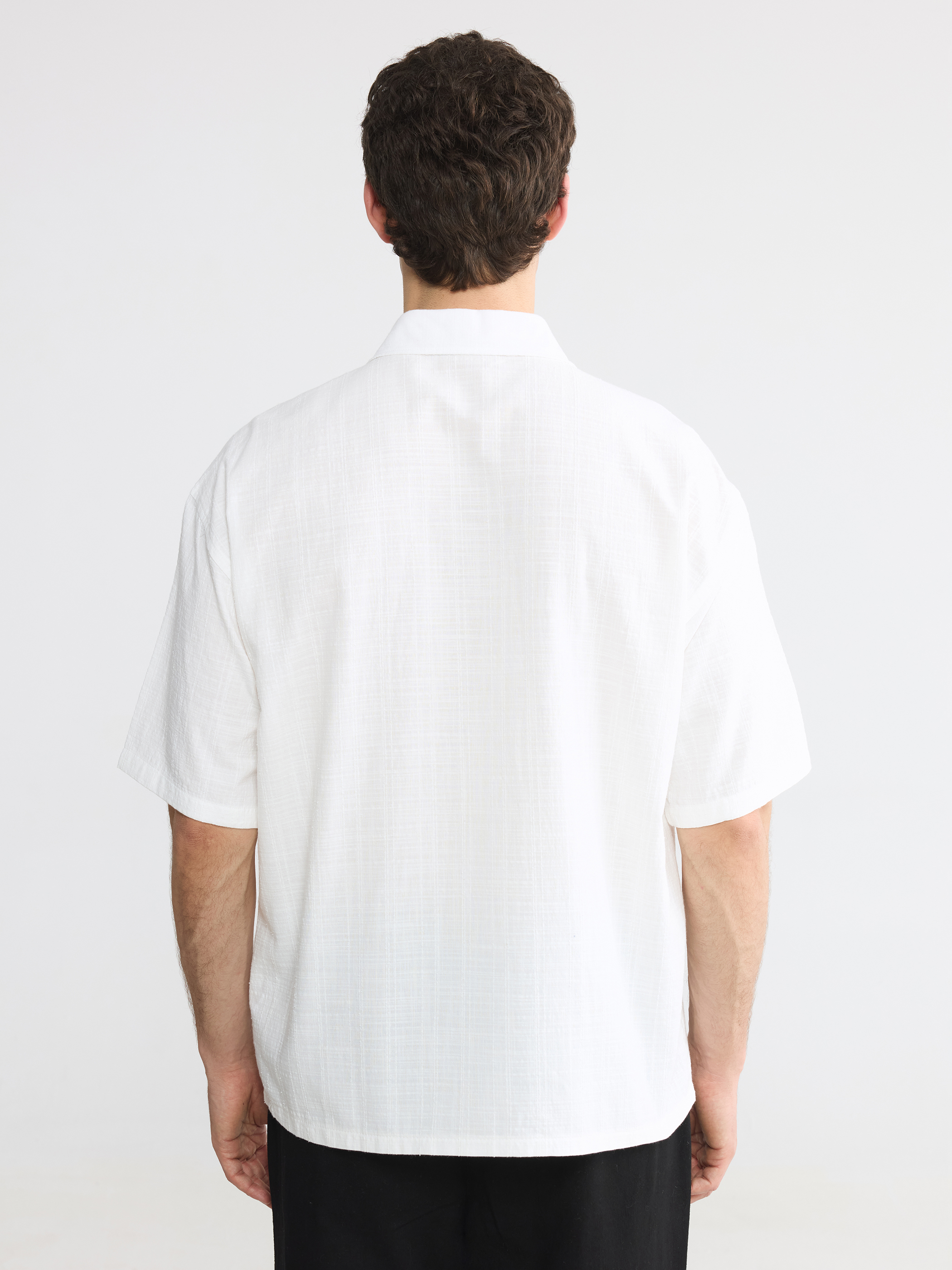 LCW Vision Regular Fit Dokulu Erkek Gömlek görsel 4