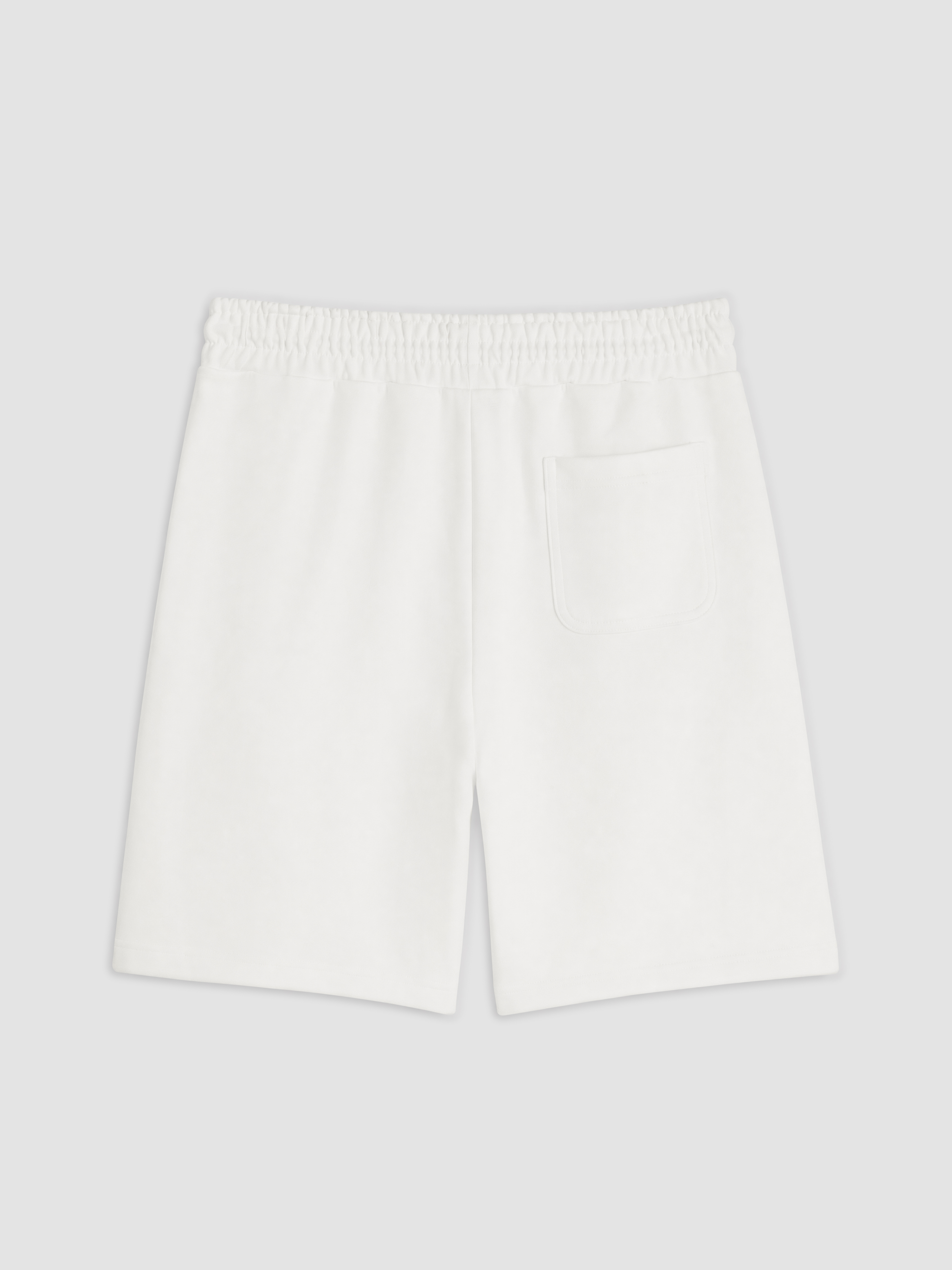 LCWAIKIKI Classic Regular Fit Erkek Şort görsel 5