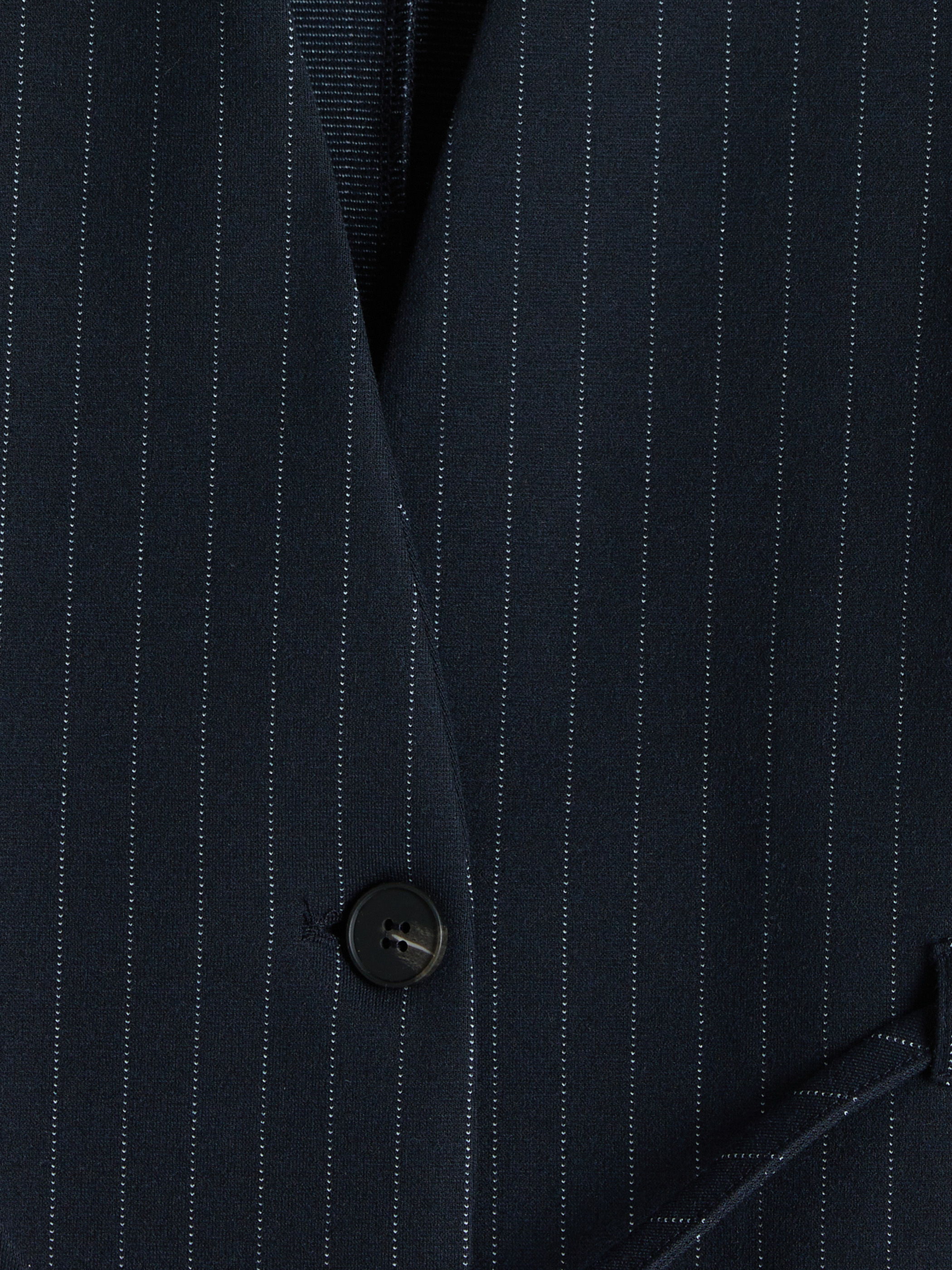 LCW EVERYDAY Çizgili Kadın Blazer Ceket görsel 7
