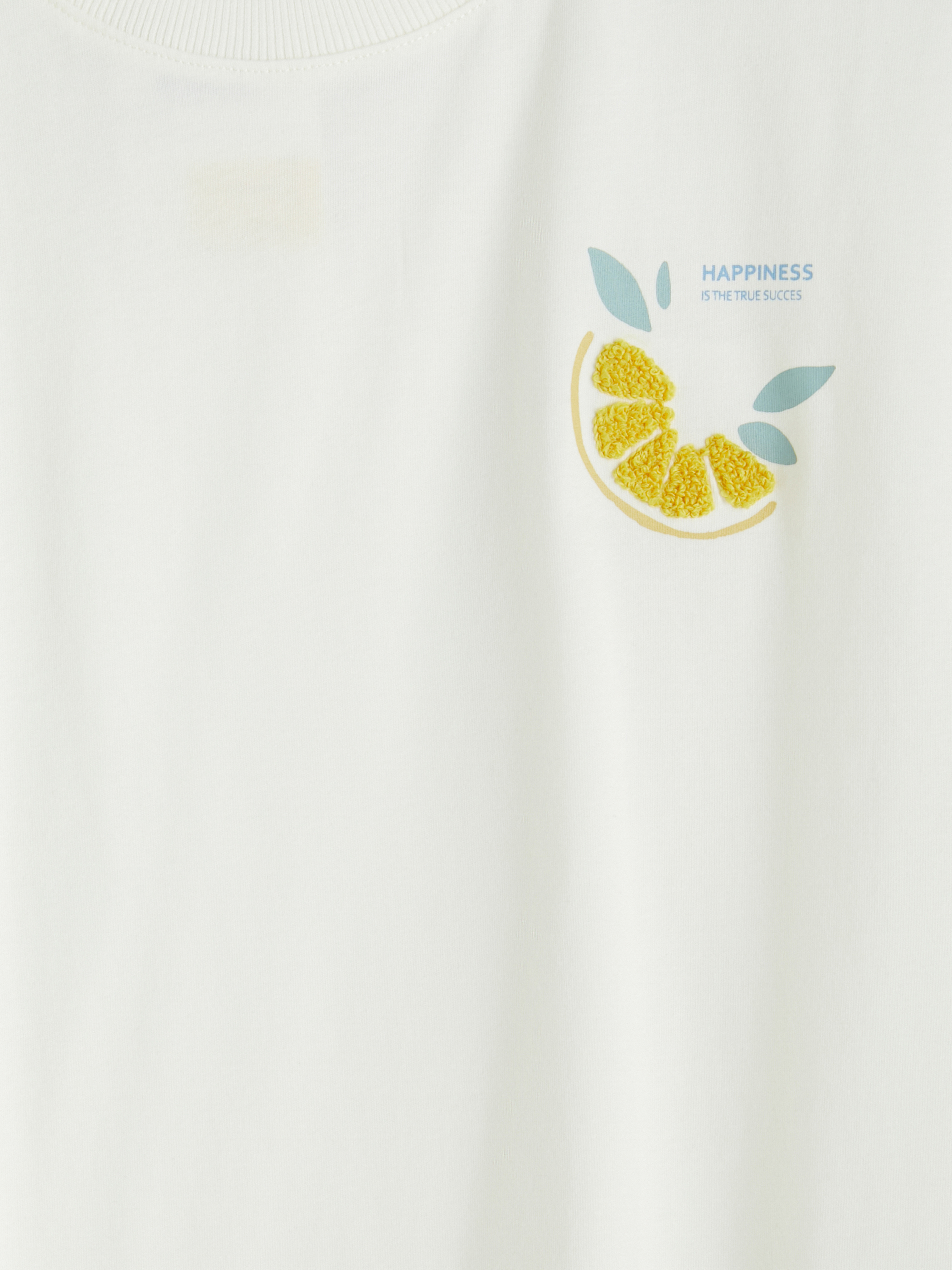 LCW Comfort Limon Baskılı % 100 Pamuklu Kadın Tişört görsel 6