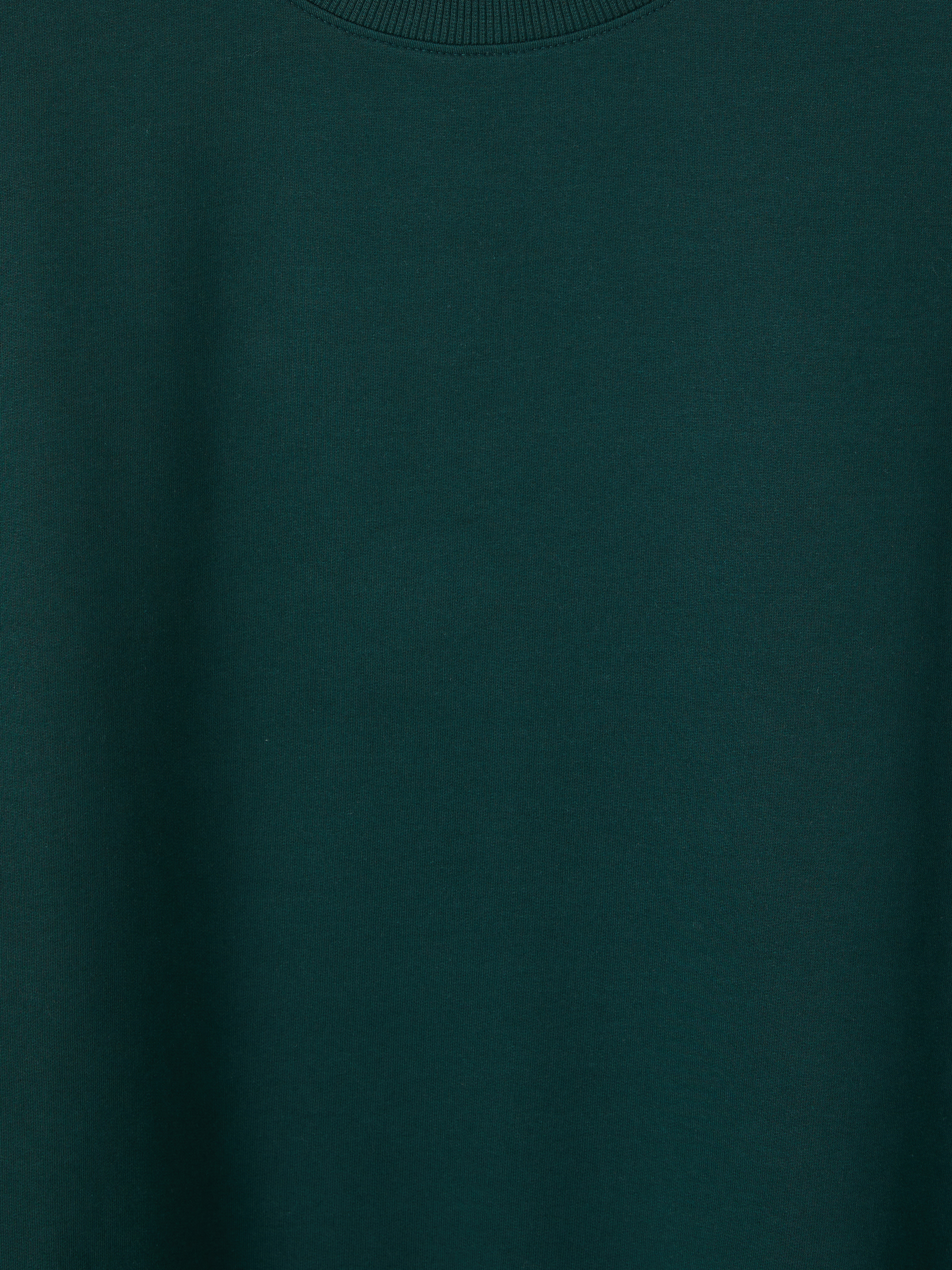 XSIDE Bisiklet Yaka Erkek Sweatshirt görsel 7