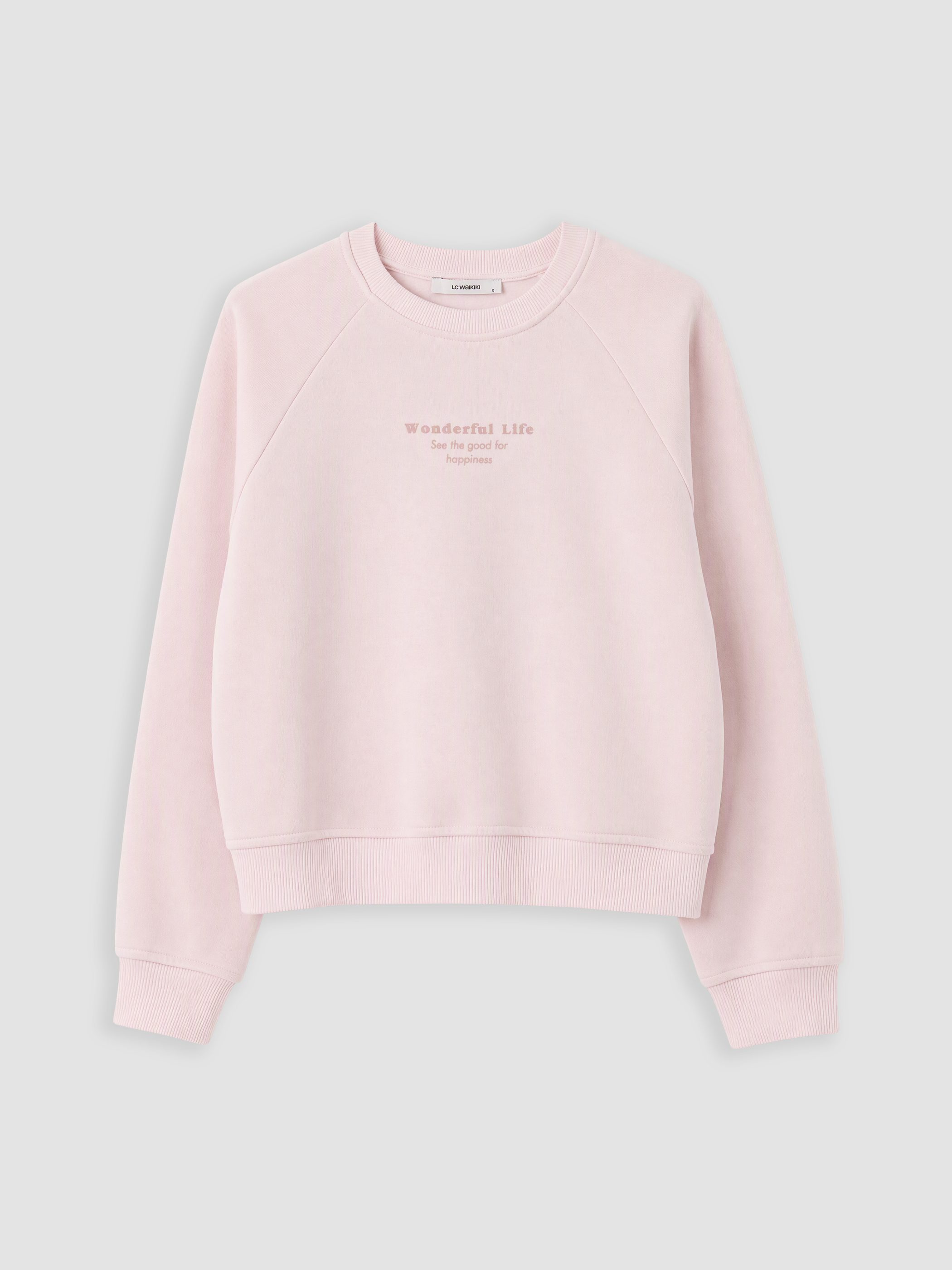 LC WAIKIKI Baskılı Oversize Kadın Sweatshirt görsel 5
