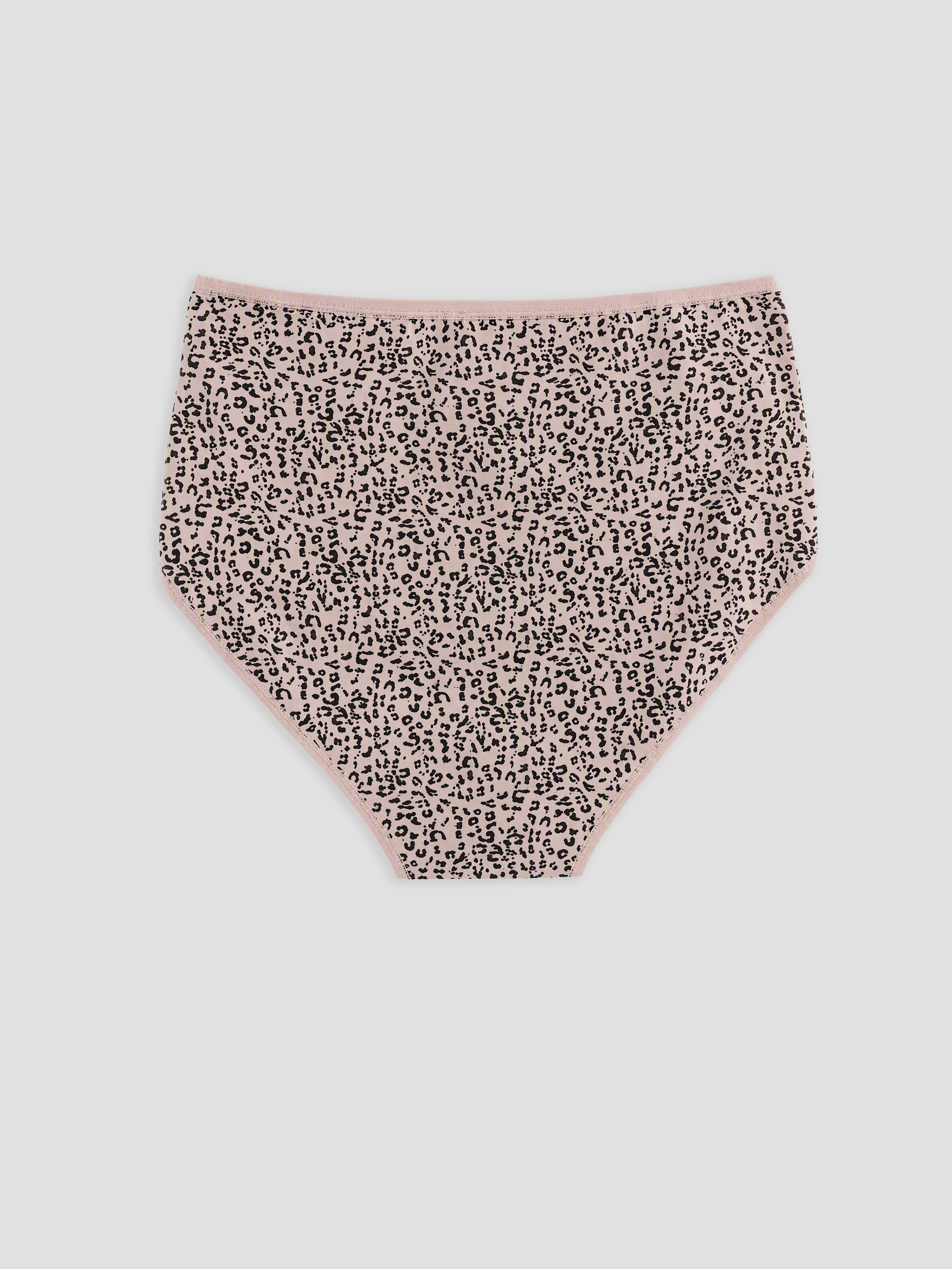 LCW DREAM Leopar Desenli Klasik Külot 3'lü görsel 5