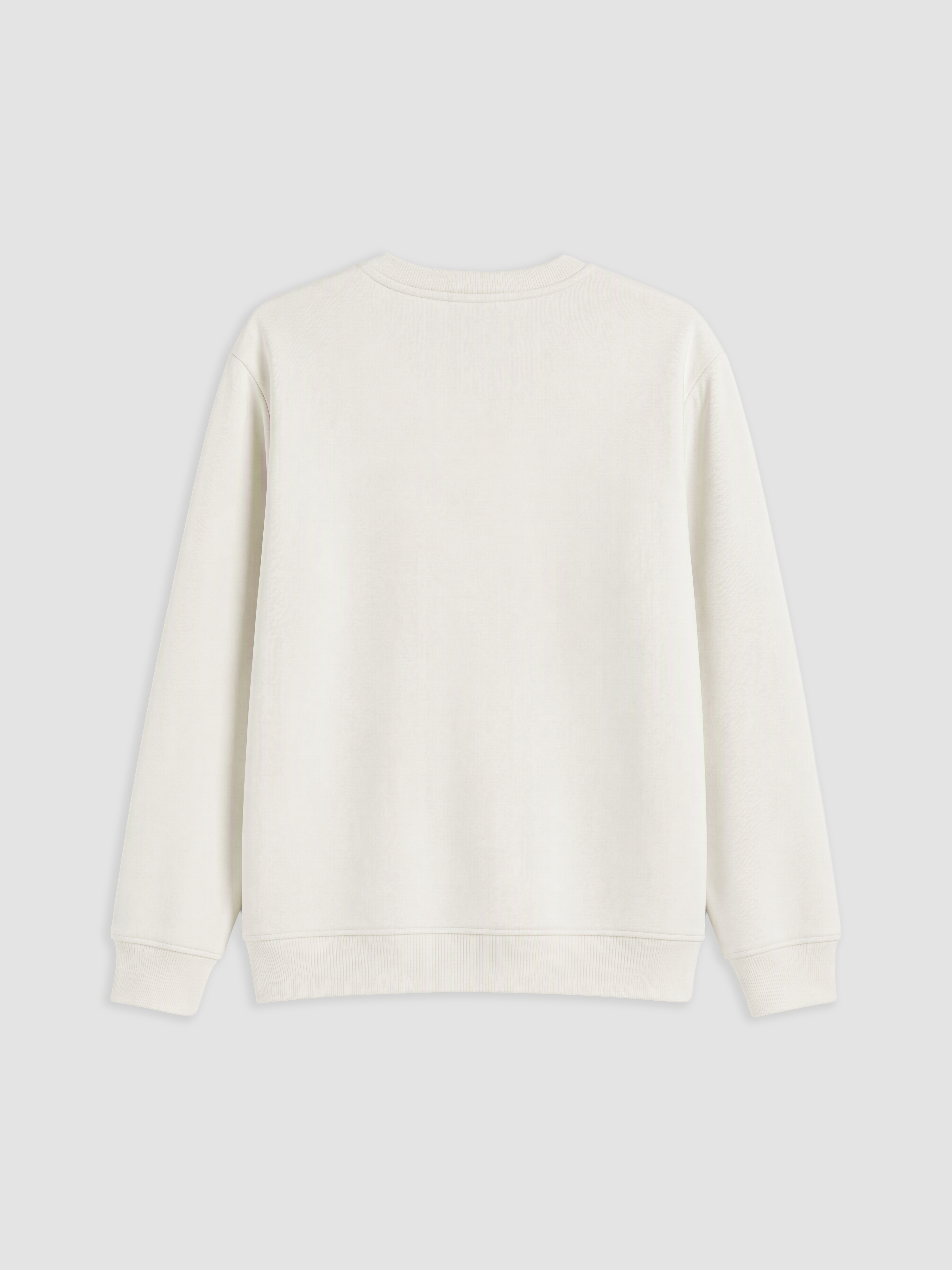 LCW Vision Bisiklet Yaka Baskılı Erkek Kalın Sweatshirt görsel 6