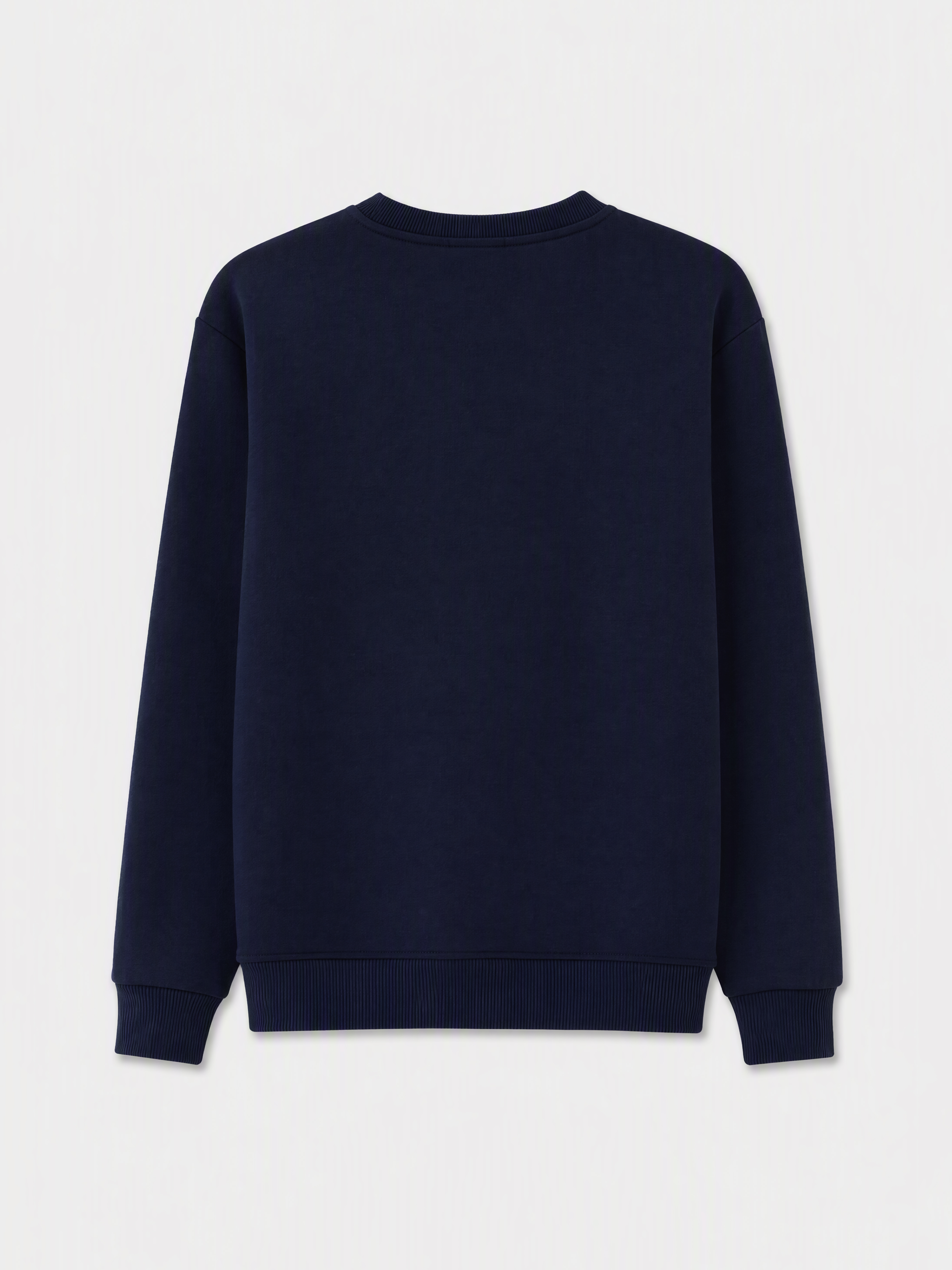LCW Vision Bisiklet Yaka Baskılı Erkek Kalın Sweatshirt görsel 5