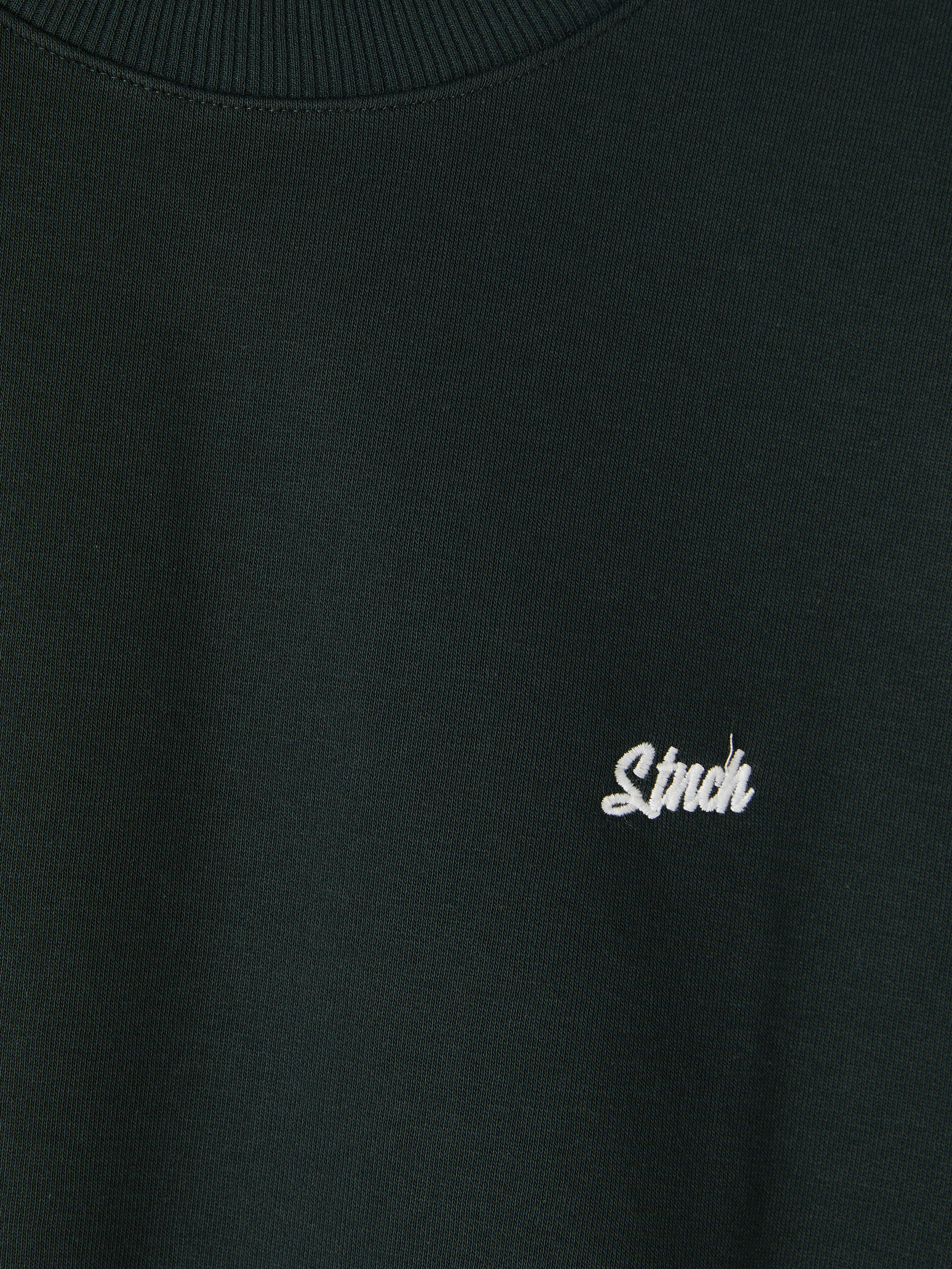 XSIDE Bisiklet Yaka Nakışlı Erkek Sweatshirt görsel 5