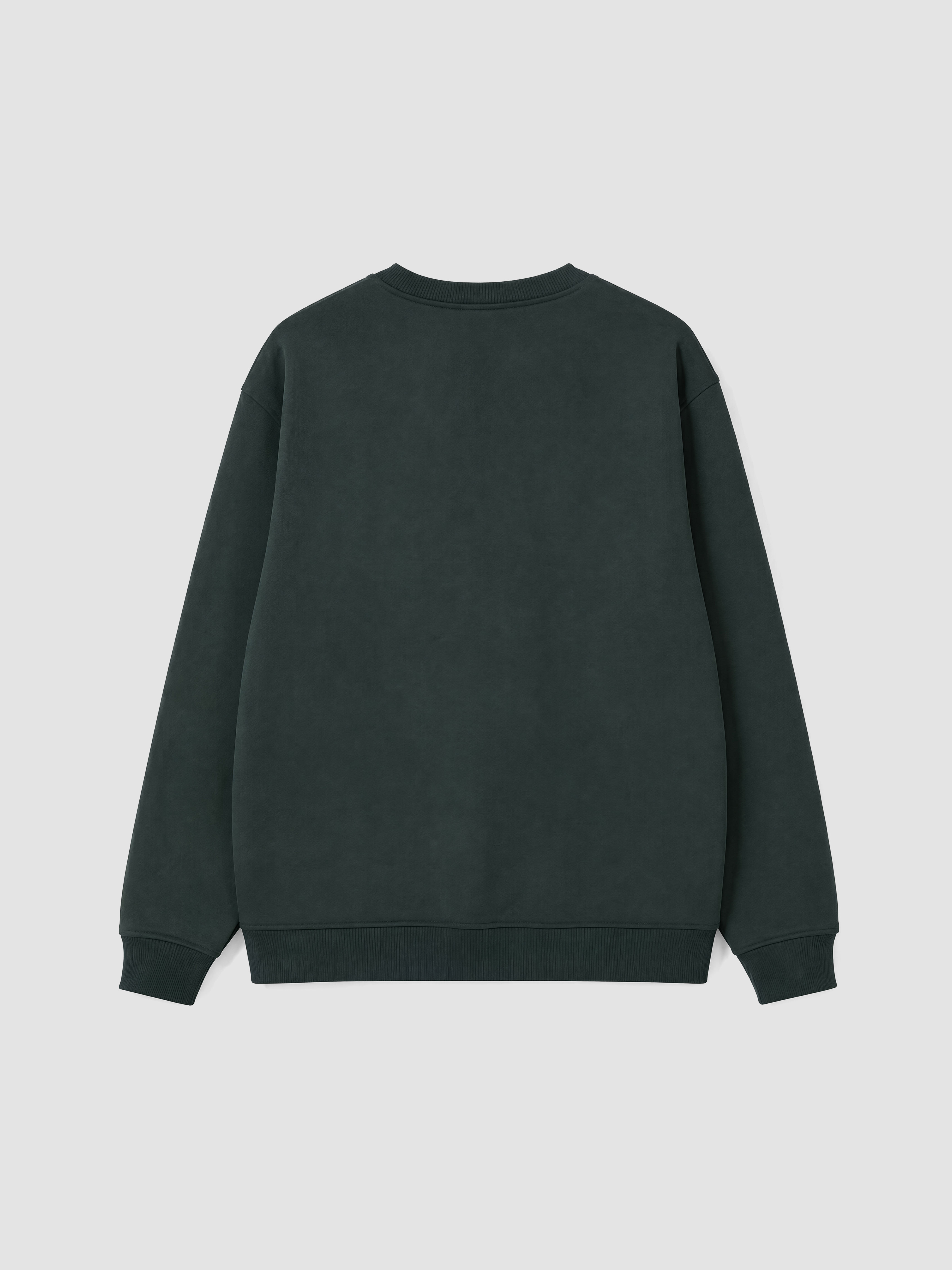 XSIDE Bisiklet Yaka Nakışlı Erkek Sweatshirt görsel 6