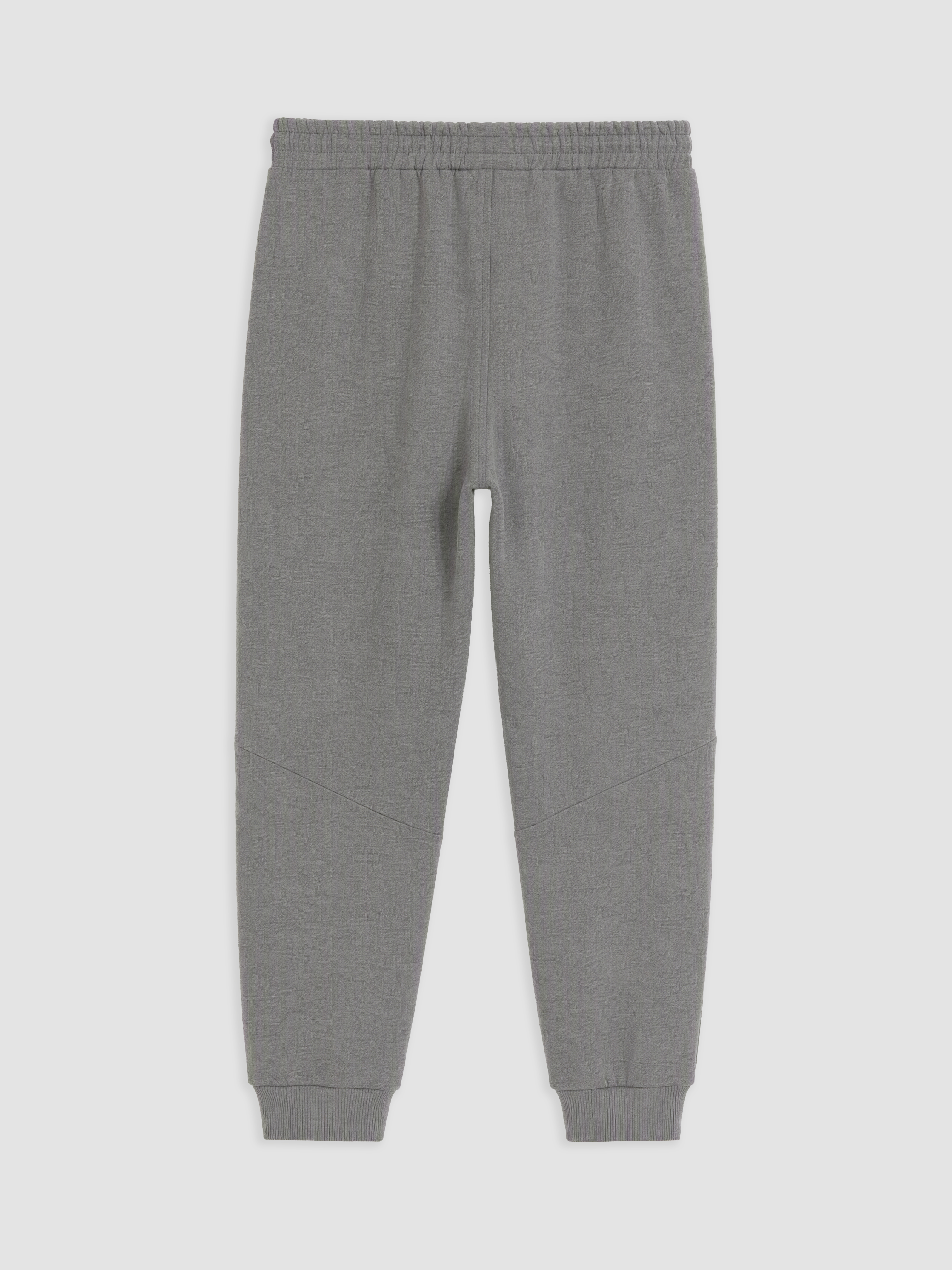 XSIDE Regular Fit Erkek Jogger Eşofman Altı görsel 2