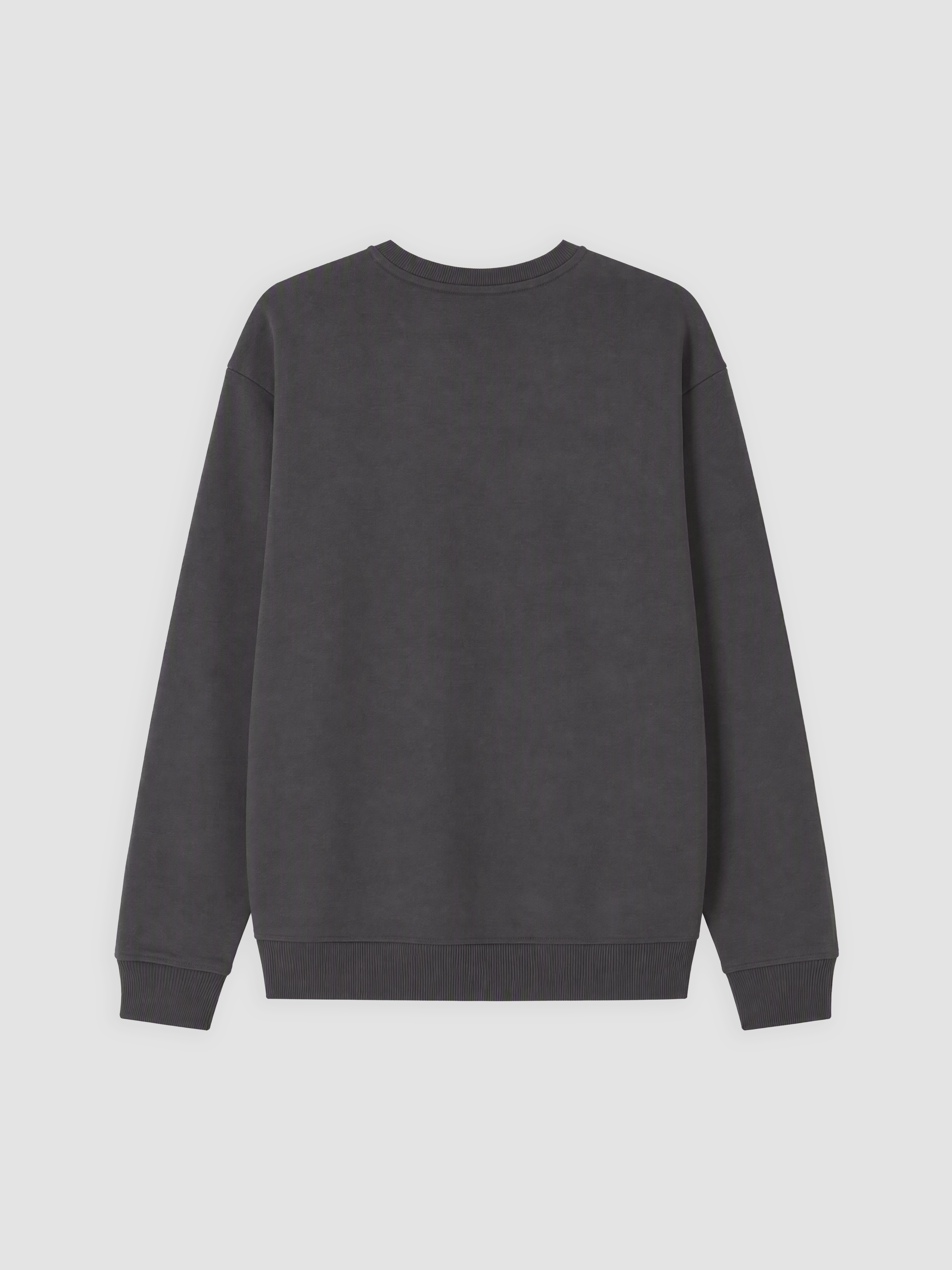 XSIDE Bisiklet Yaka Erkek Kalın Sweatshirt görsel 6