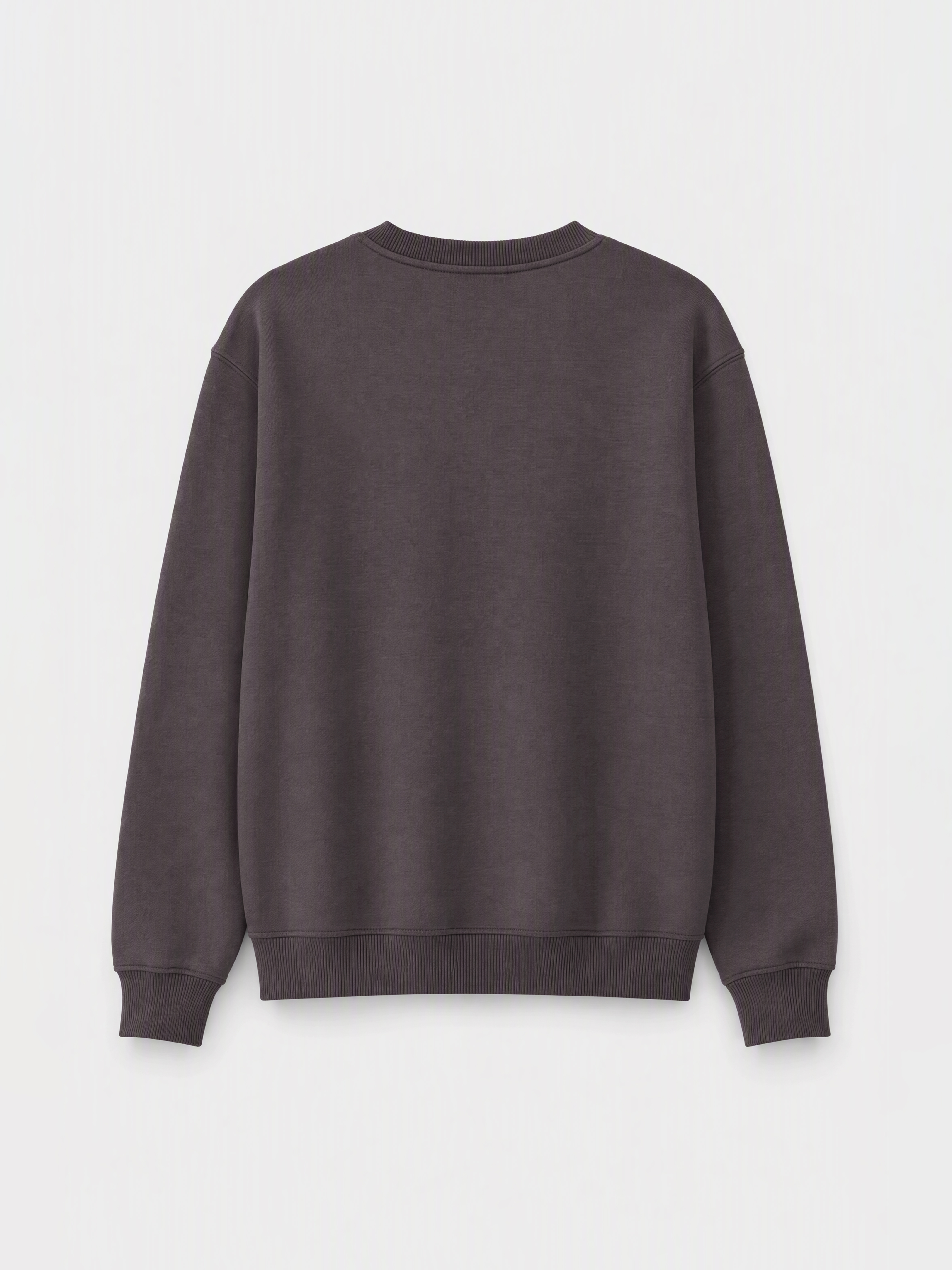 XSIDE Bisiklet Yaka Baskılı Kalın Sweatshirt görsel 5