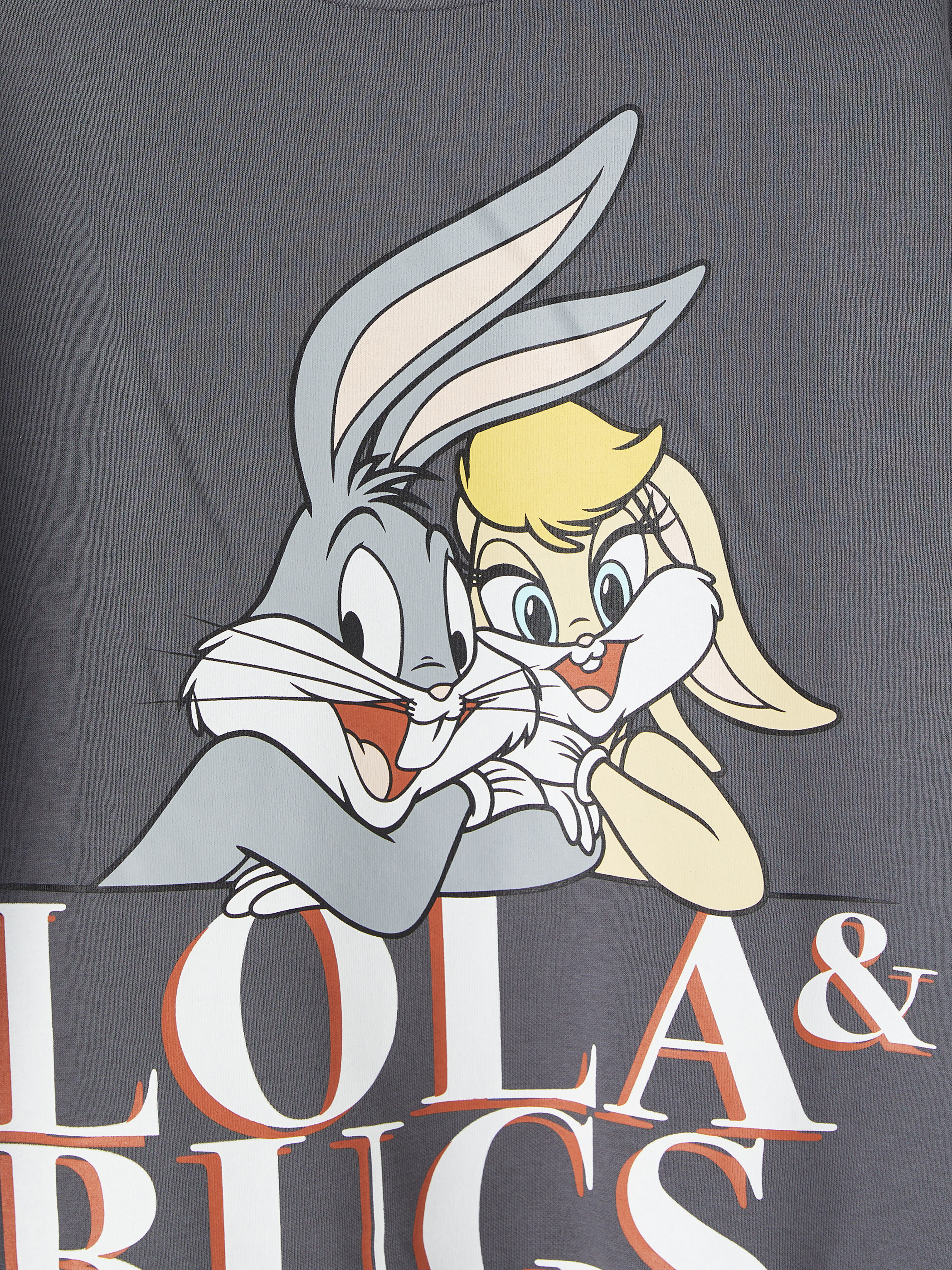 XSIDE Bugs Bunny Baskılı Oversize Kadın Kalın Sweatshirt görsel 8