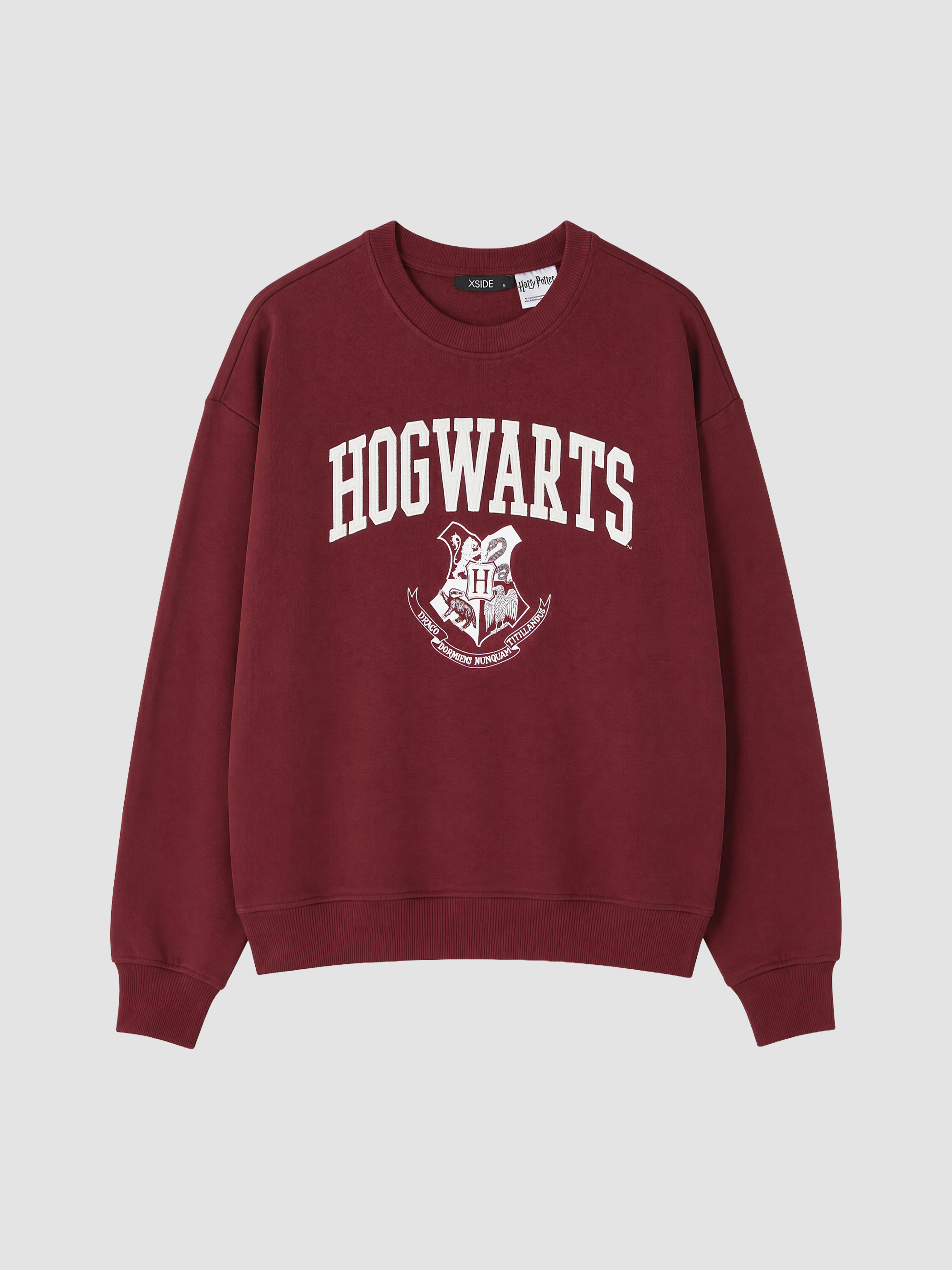 XSIDE Harry Potter Baskılı Oversize Kadın Sweatshirt görsel 6