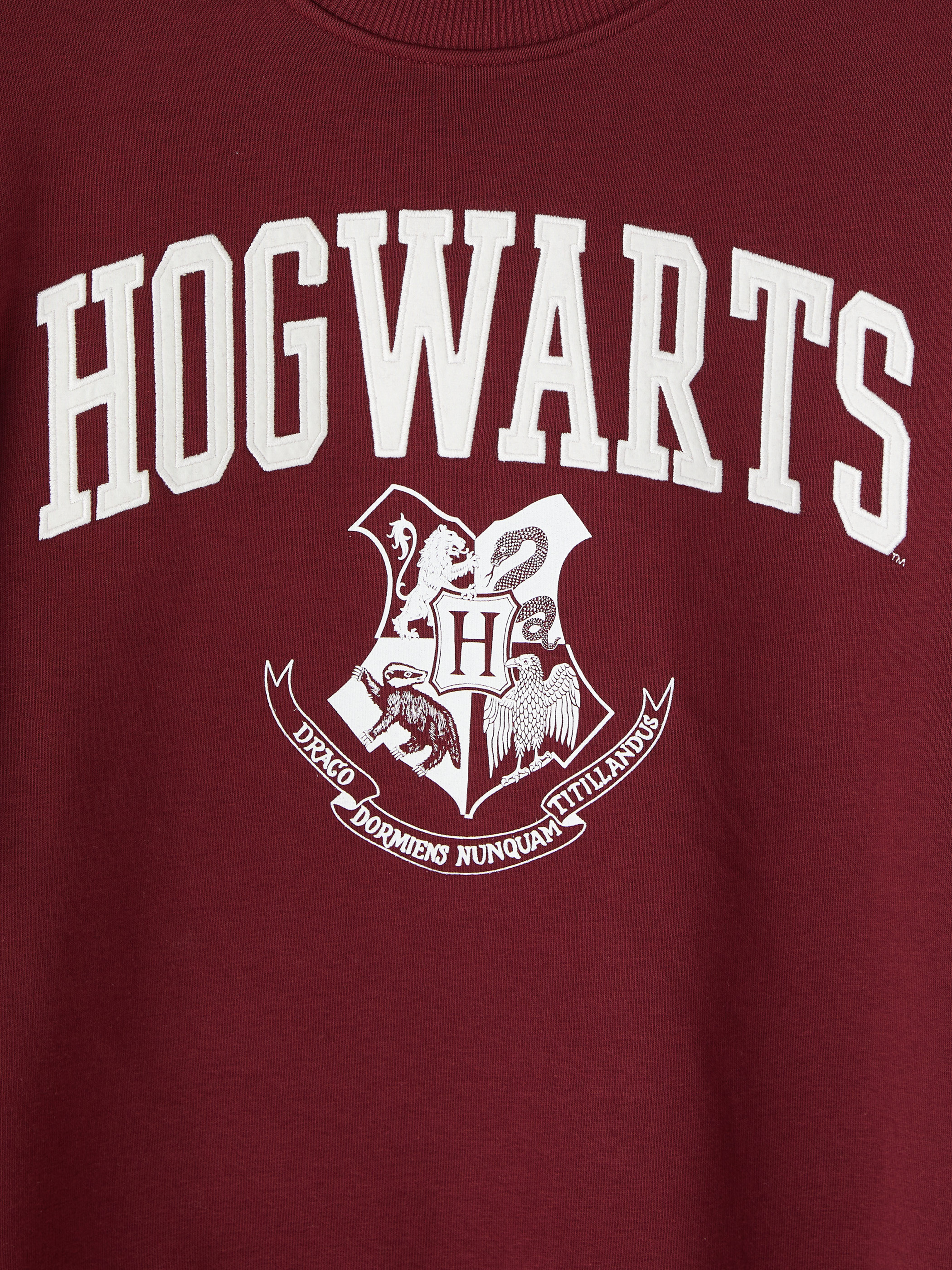 XSIDE Harry Potter Baskılı Oversize Kadın Sweatshirt görsel 7