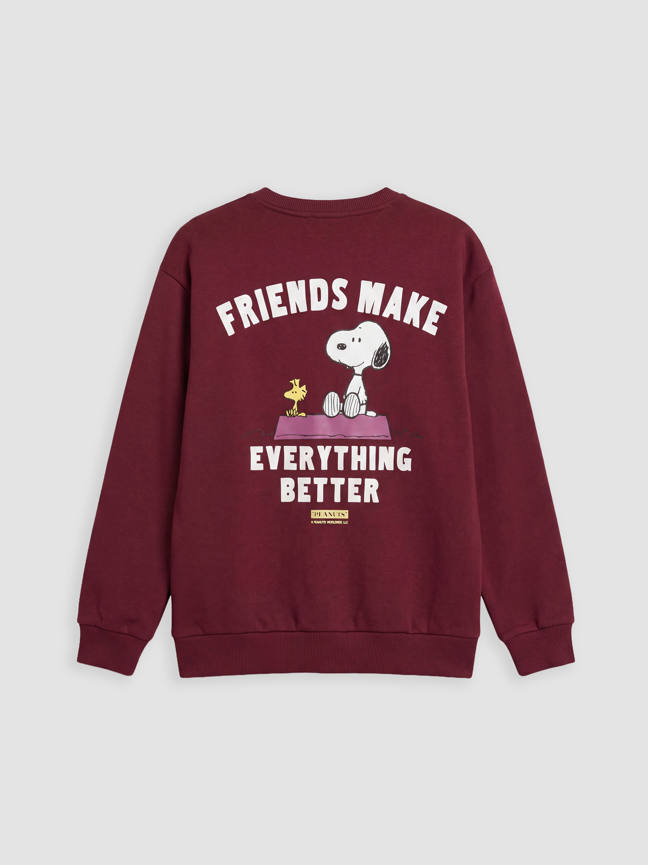 XSIDE Snoopy Baskılı Oversize Kadın Sweatshirt görsel 7