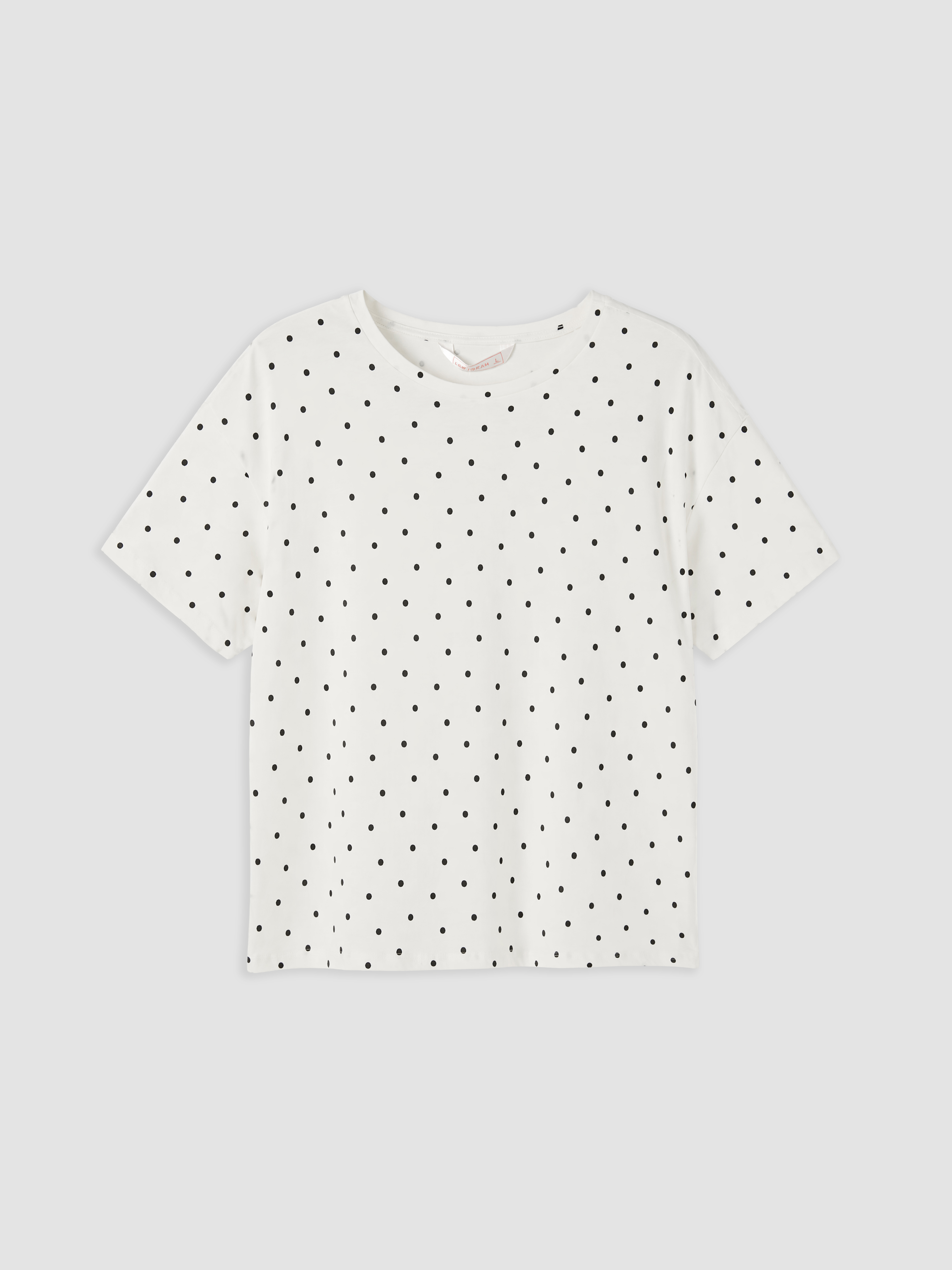 LCW DREAM Puantiyeli Kadın Şortlu Pijama Takımı görsel 6