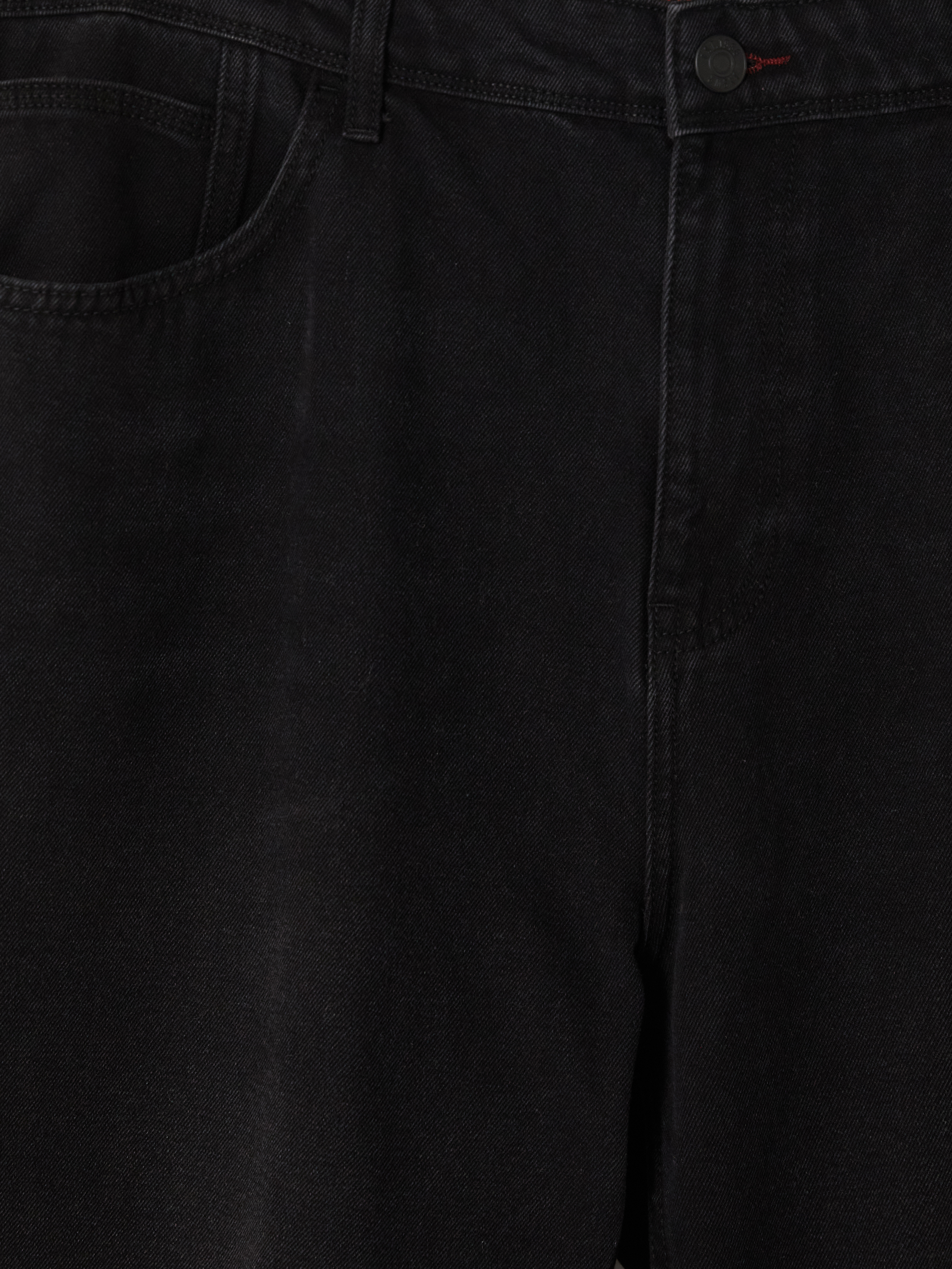 LCW Jeans 745 Baggy Fit Erkek Jean Pantolon görsel 6