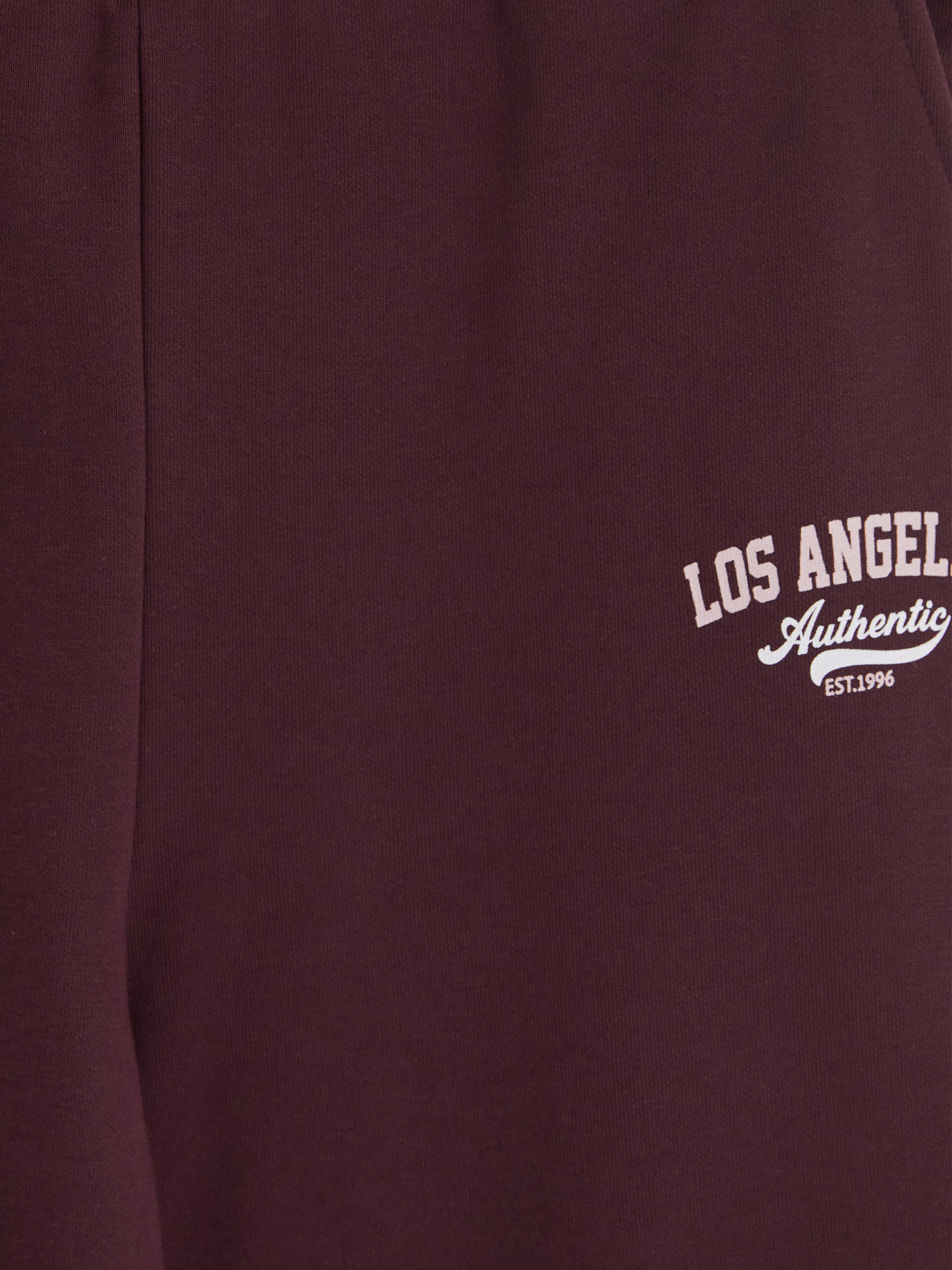 XSIDE Los Angeles Baskılı Kadın Kalın Eşofman Altı görsel 6