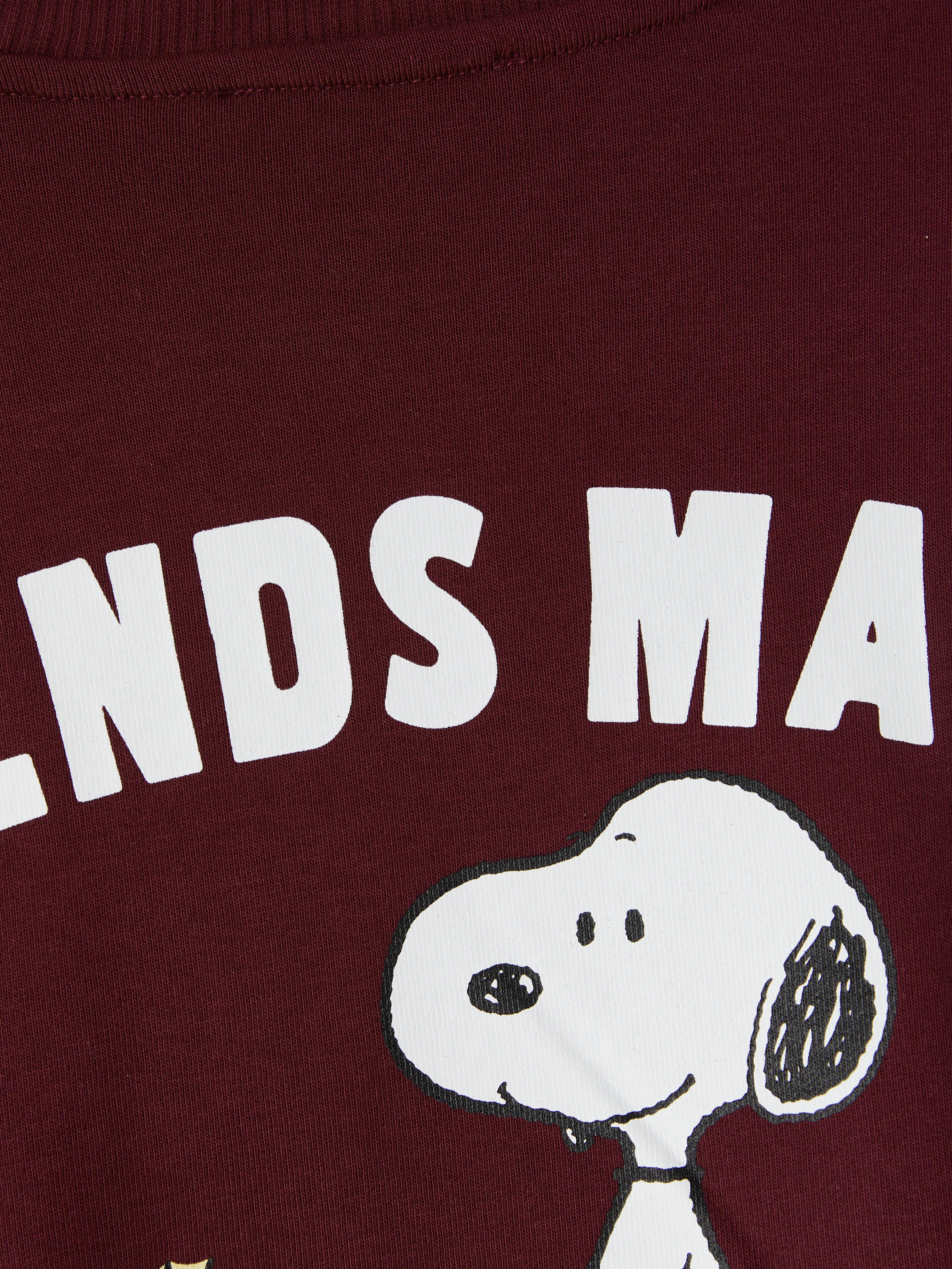 XSIDE Snoopy Baskılı Kalın Oversize Kadın Sweatshirt görsel 6