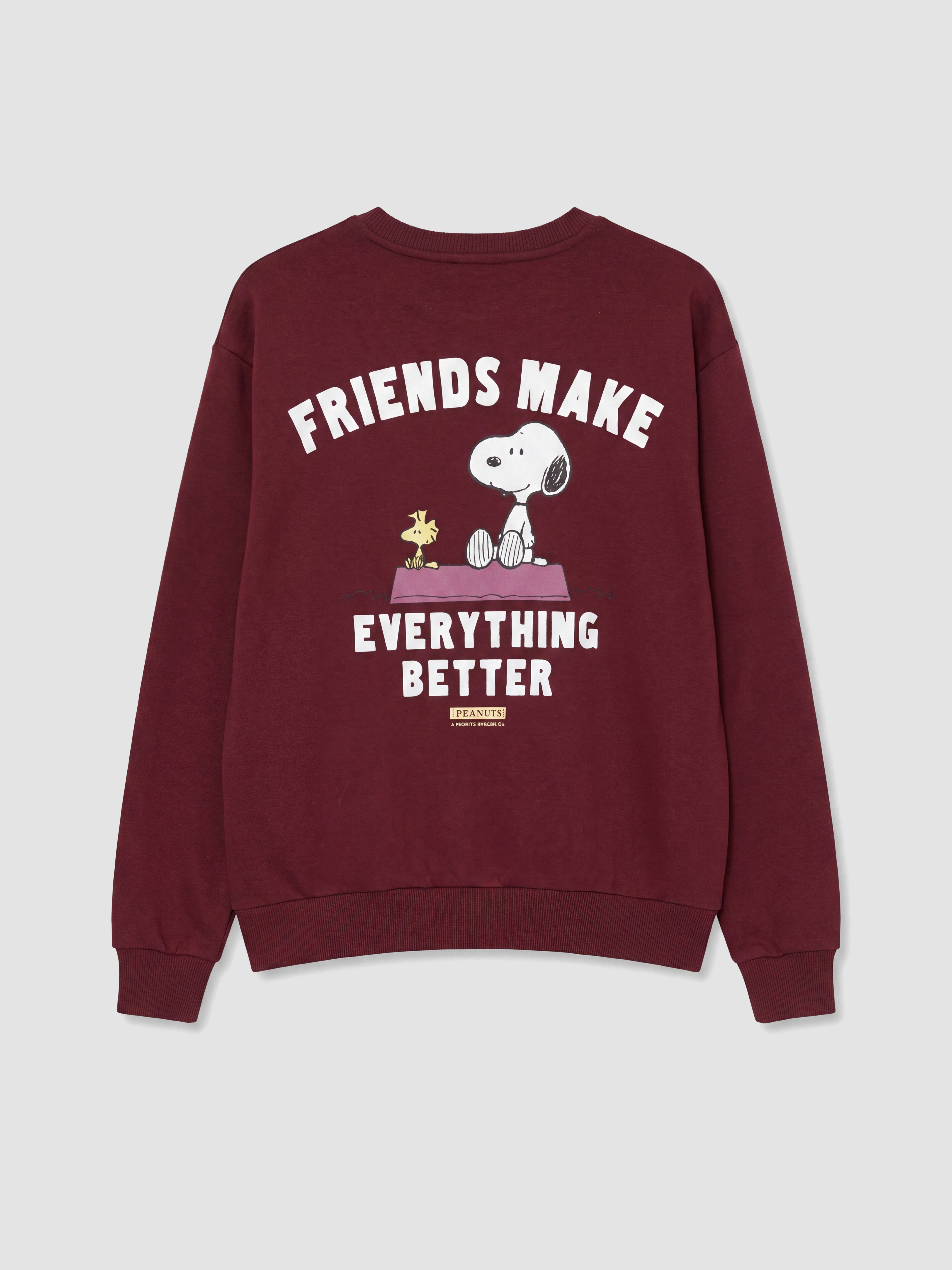 XSIDE Snoopy Baskılı Kalın Oversize Kadın Sweatshirt görsel 8