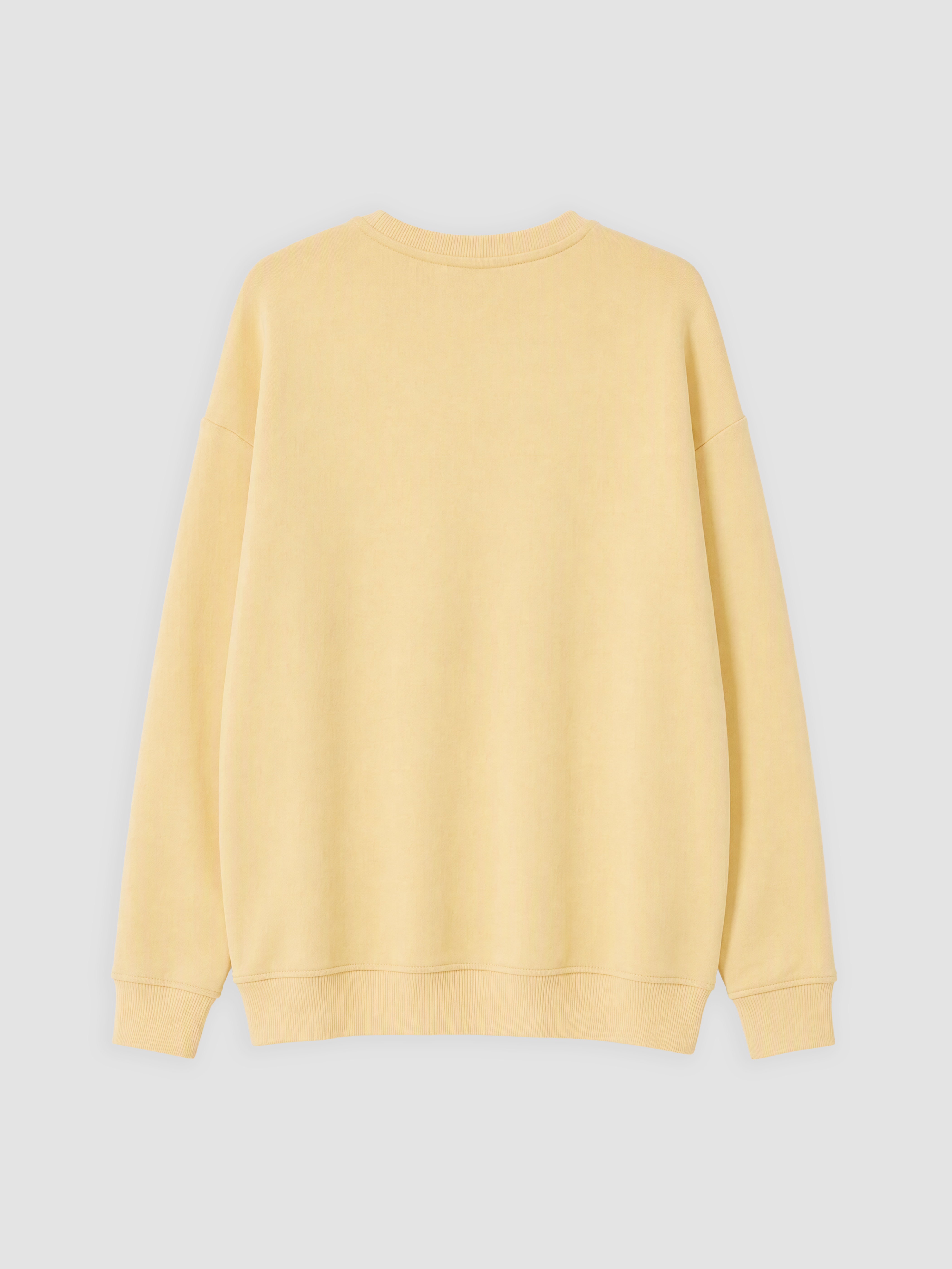 LCW Modest Bisiklet Yaka Kadın Sweatshirt Tunik görsel 2