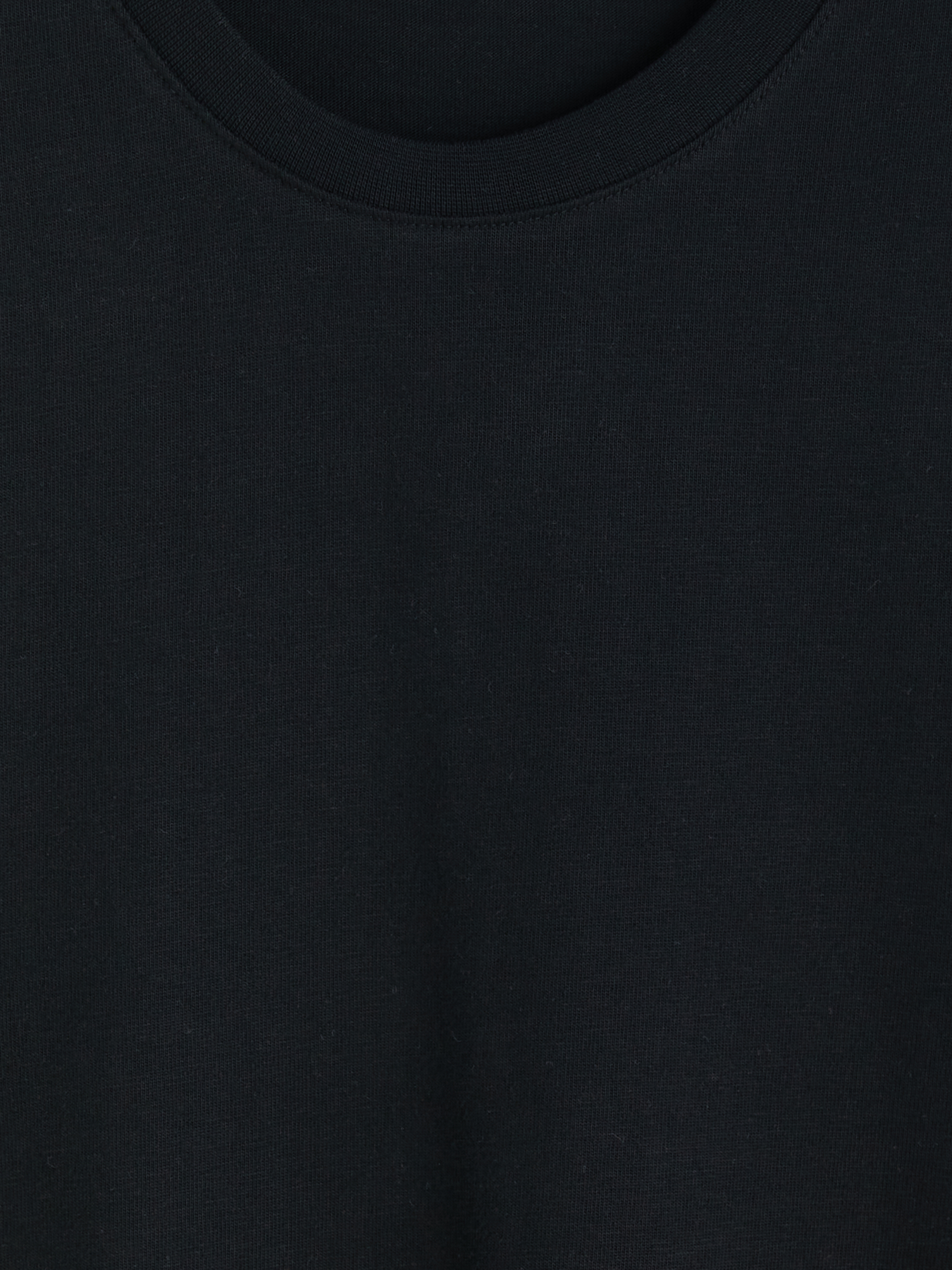 LCW Vision 2'li Regular Fit Kalın Kumaş Tişört /03 görsel 8