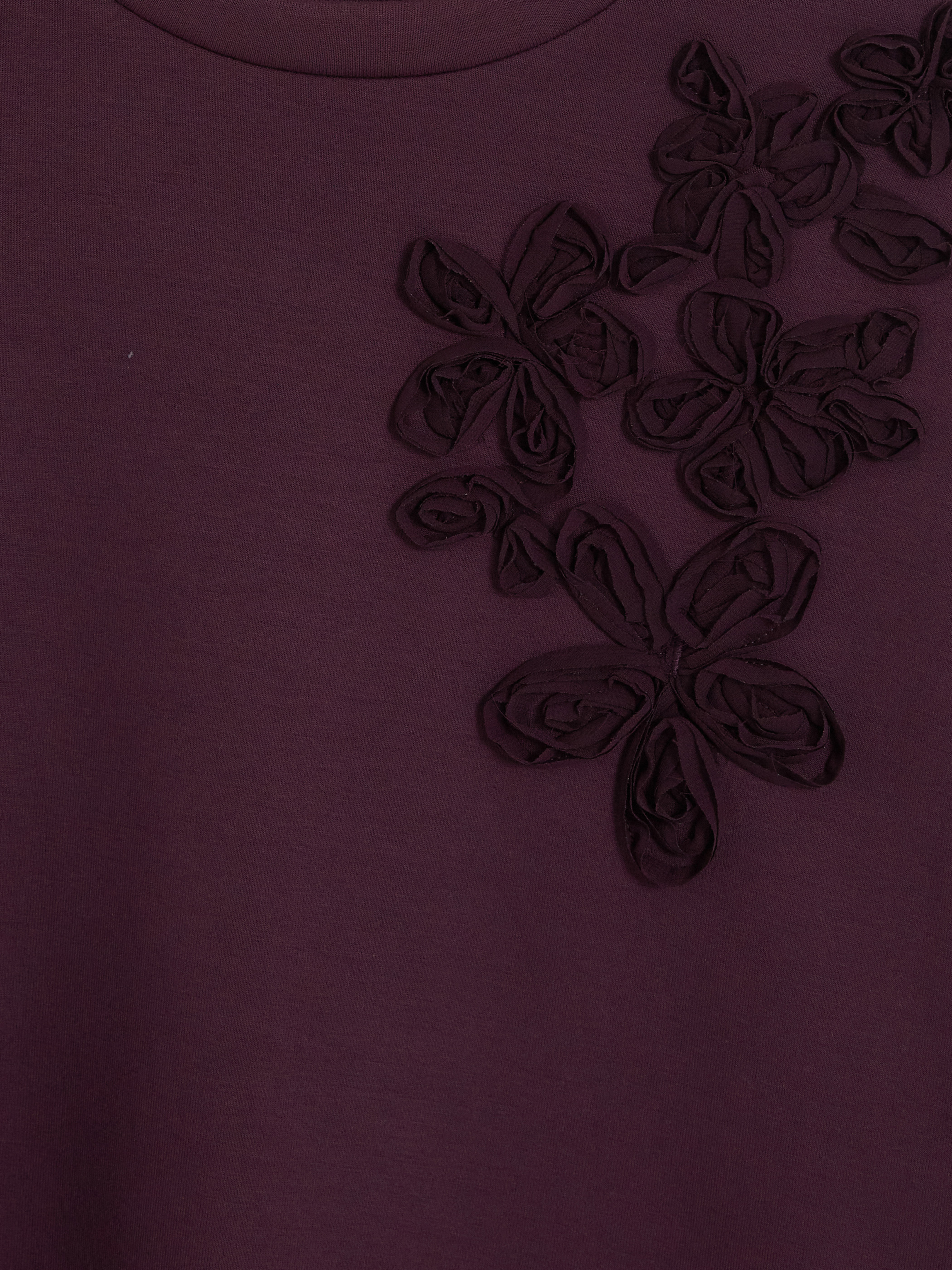 LCW Modest Nakışlı Soft Touch Kadın Sweatshirt Tunik görsel 2