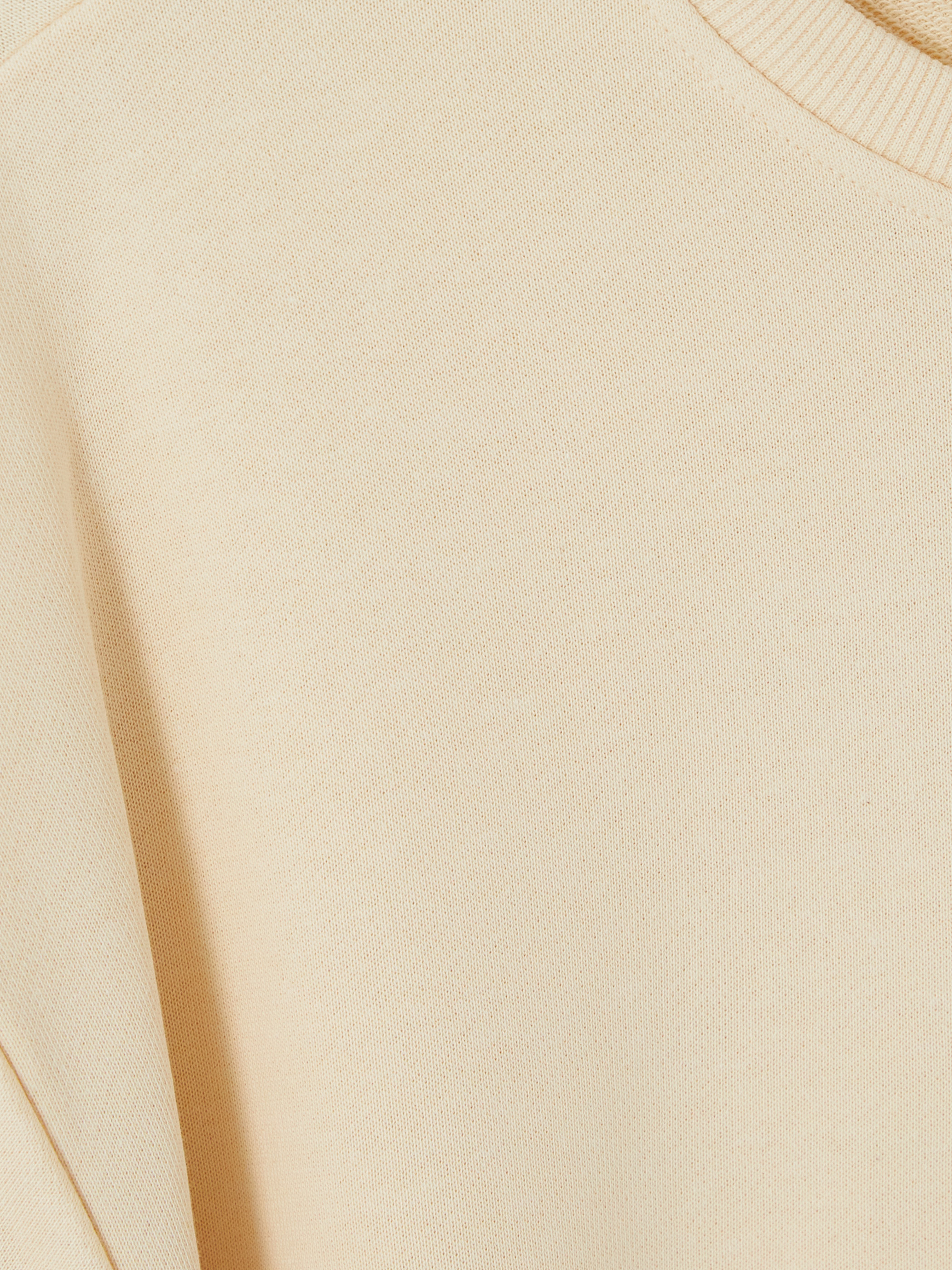 LCW Vision Bisiklet Yaka Oversize Kadın Sweatshirt görsel 6