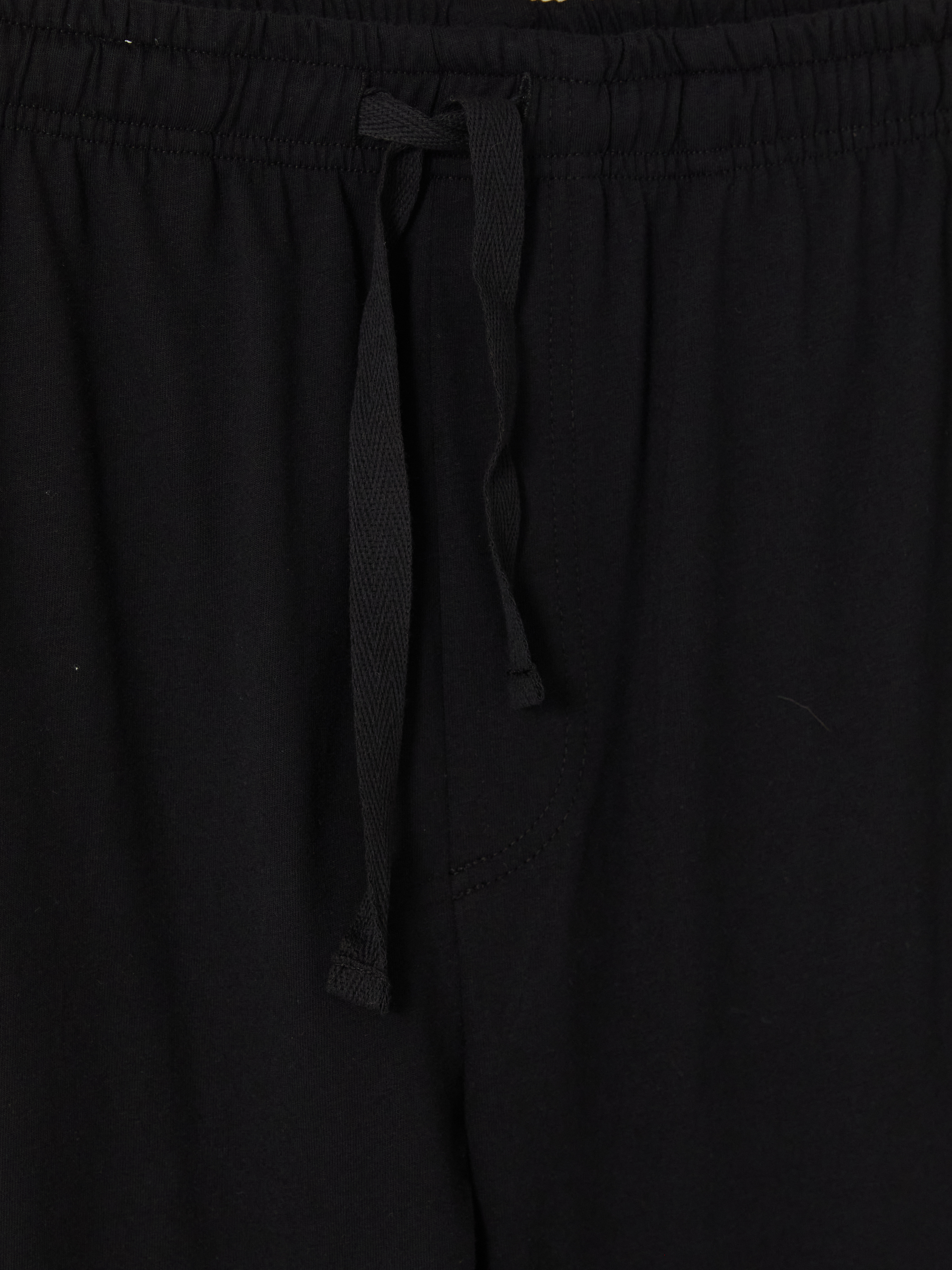 LC WAIKIKI Regular Fit Erkek Pijama Altı görsel 5