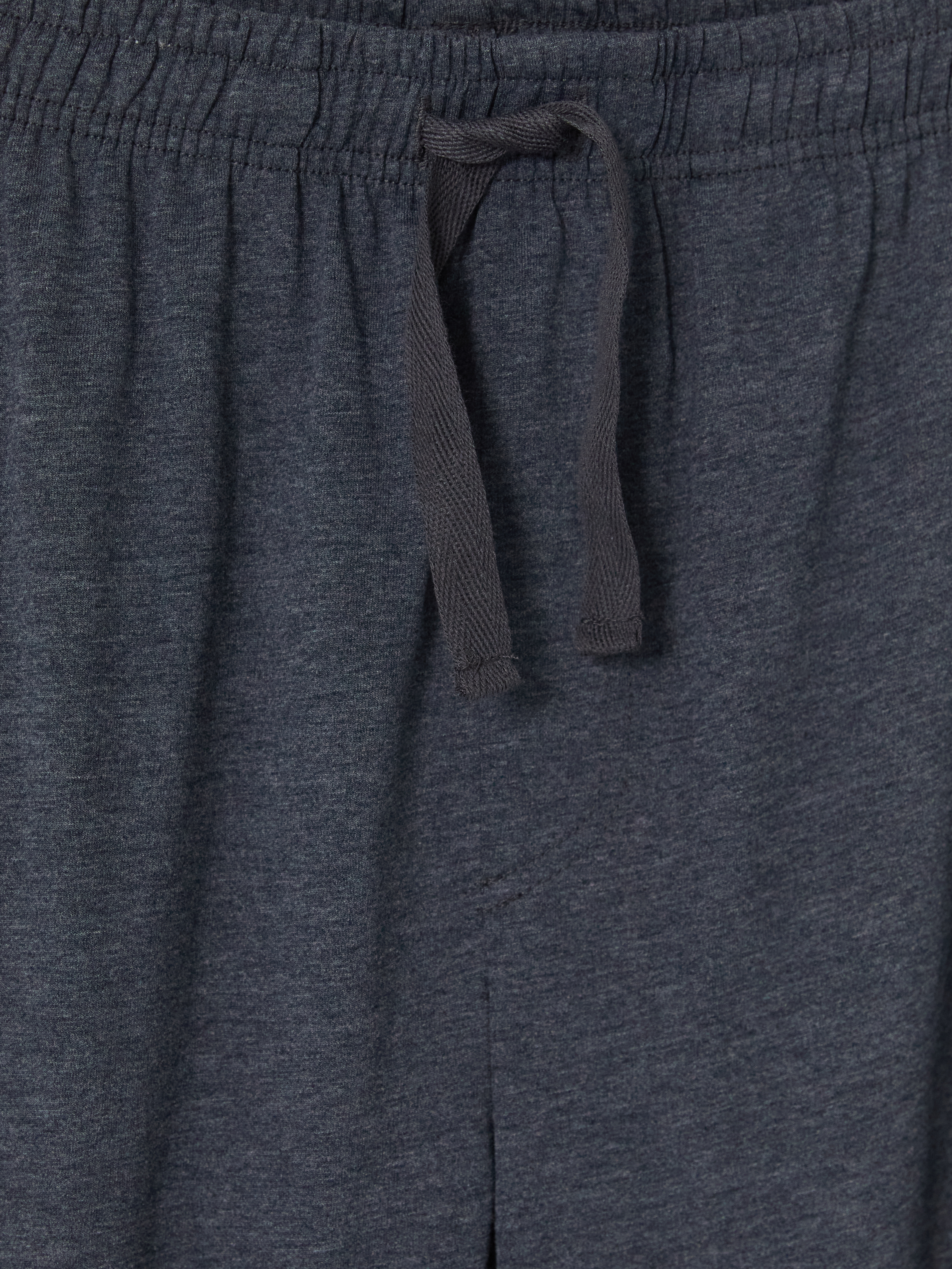 LC WAIKIKI Regular Fit Erkek Pijama Altı görsel 3
