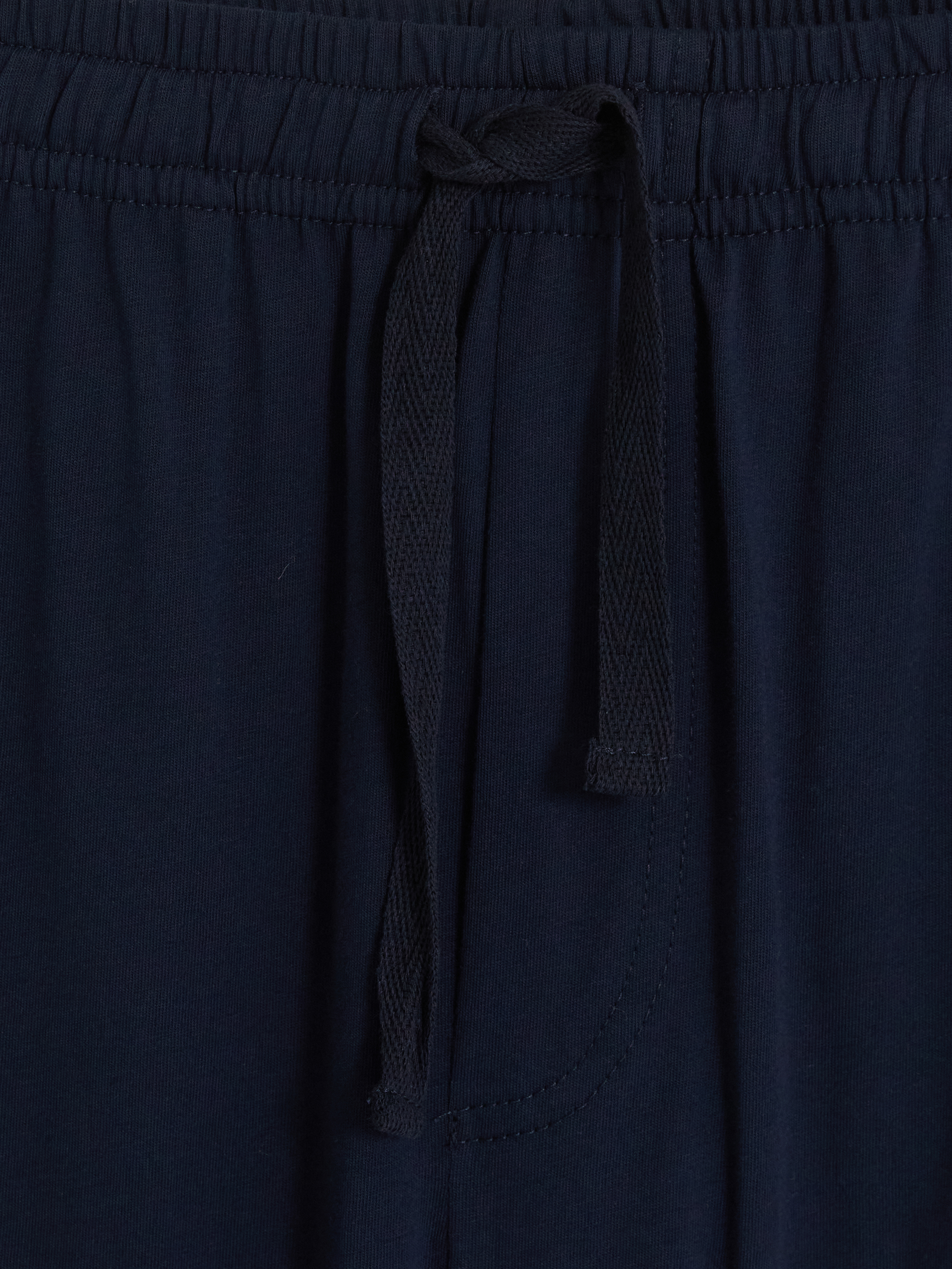 LC WAIKIKI Regular Fit Erkek Pijama Altı 2'li Paket görsel 6