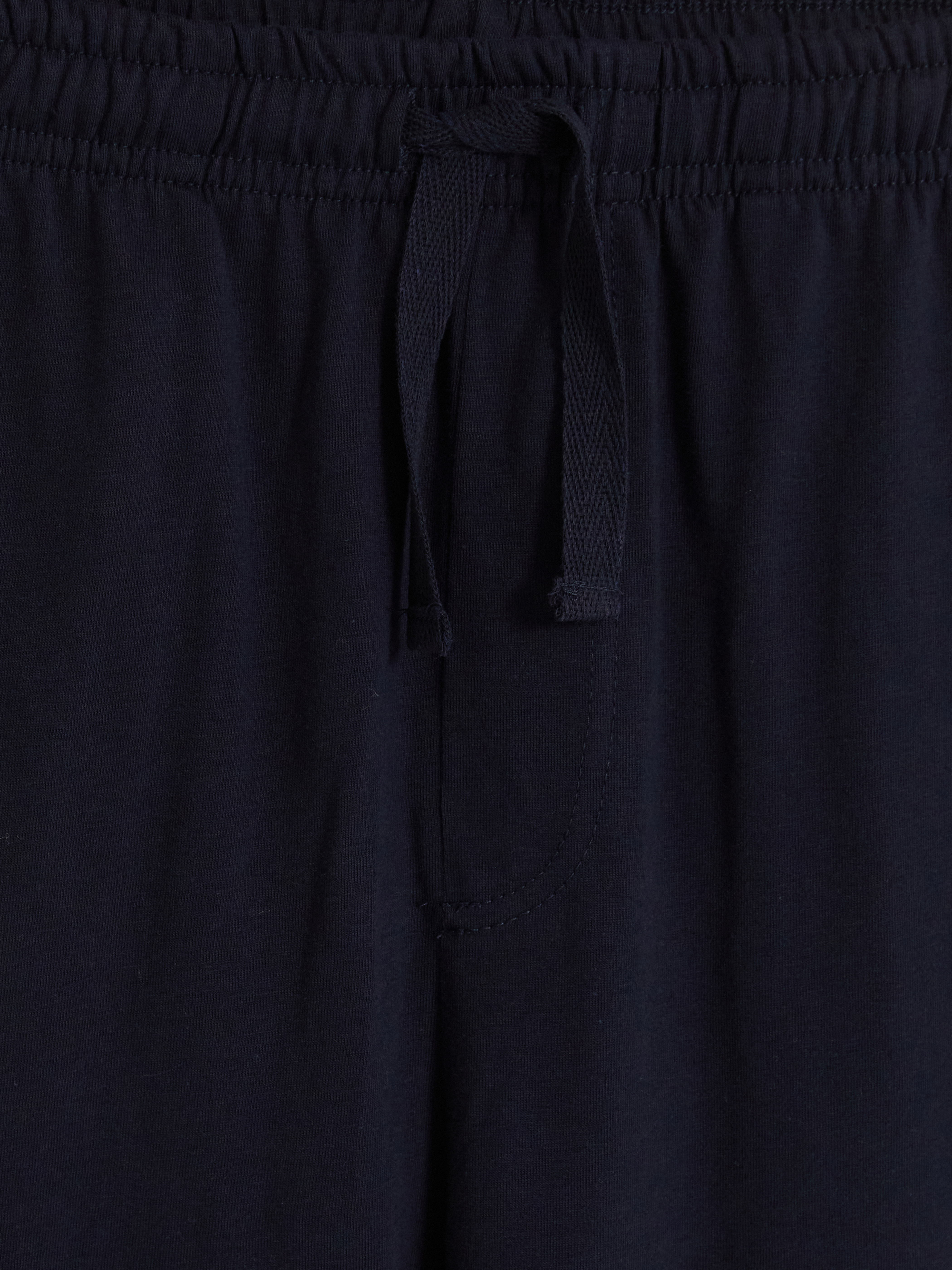 LC WAIKIKI Regular Fit Erkek Pijama Alt 2'li Paket görsel 3