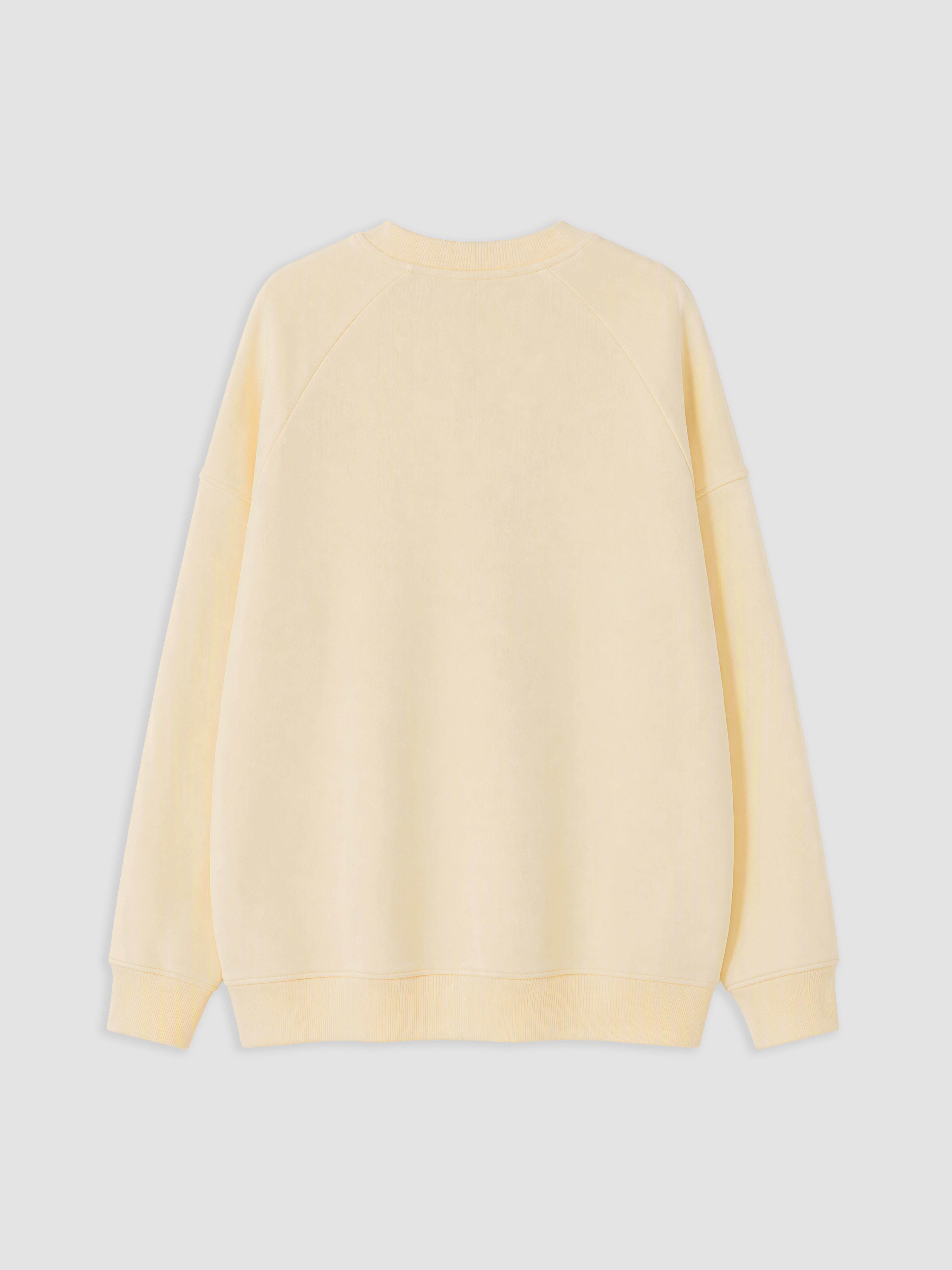 LCW Modest Oversize Kadın Kalın Sweatshirt Tunik görsel 6