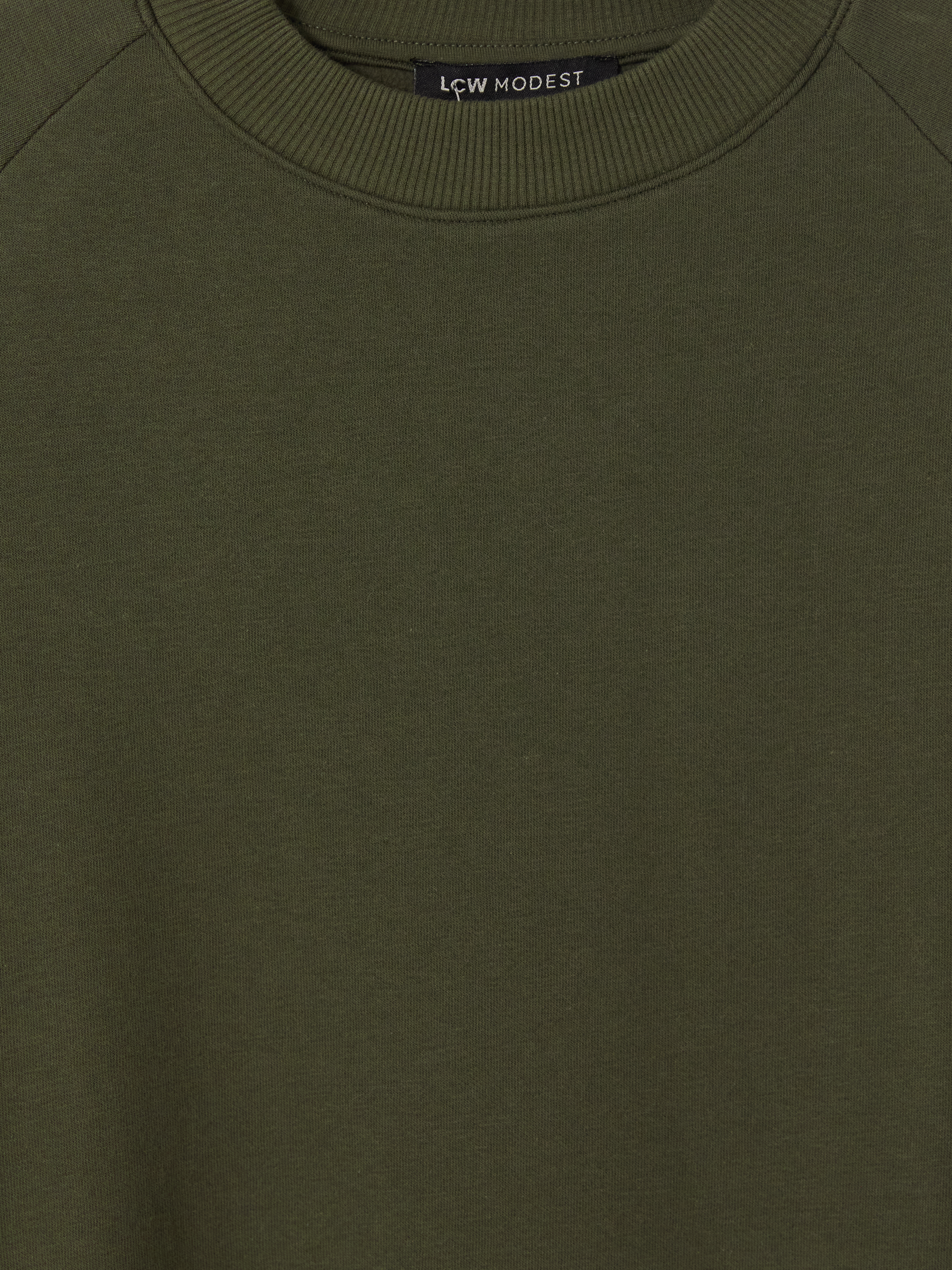 LCW Modest Oversize Kadın Kalın Sweatshirt Tunik görsel 3