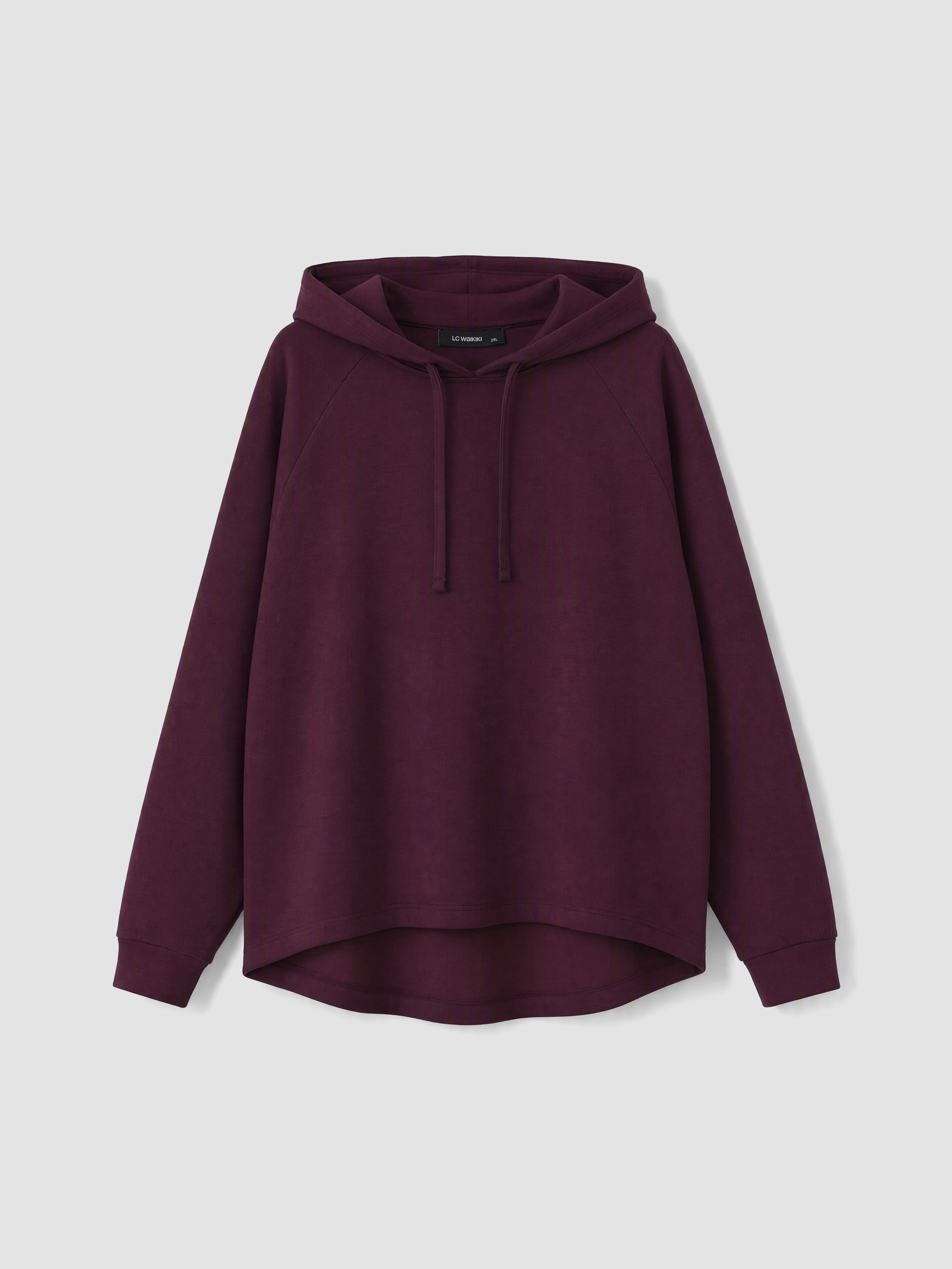 LCW Curve Büyük Beden Kadın Hoodie görsel 3