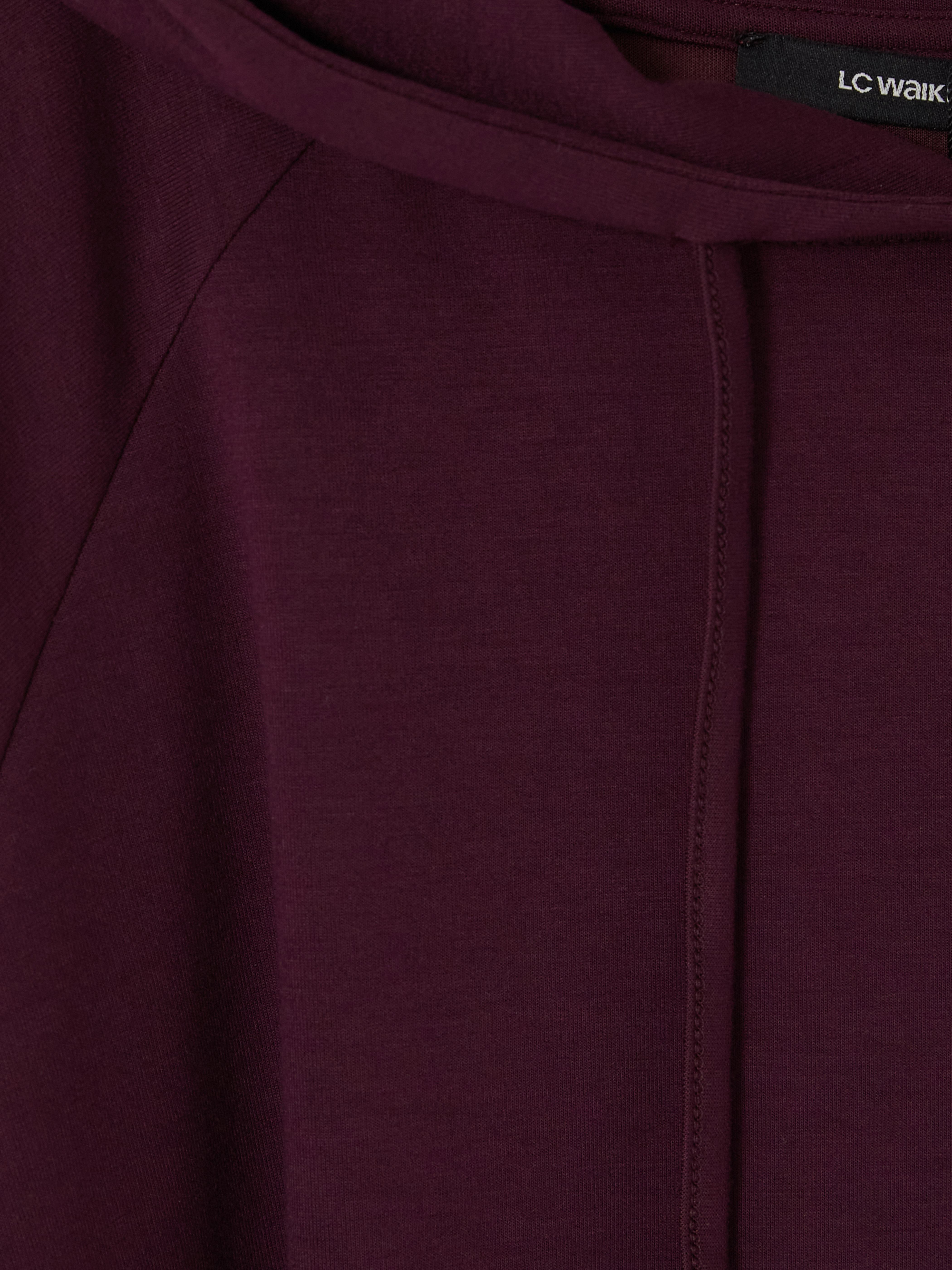 LCW Curve Büyük Beden Kadın Hoodie görsel 4
