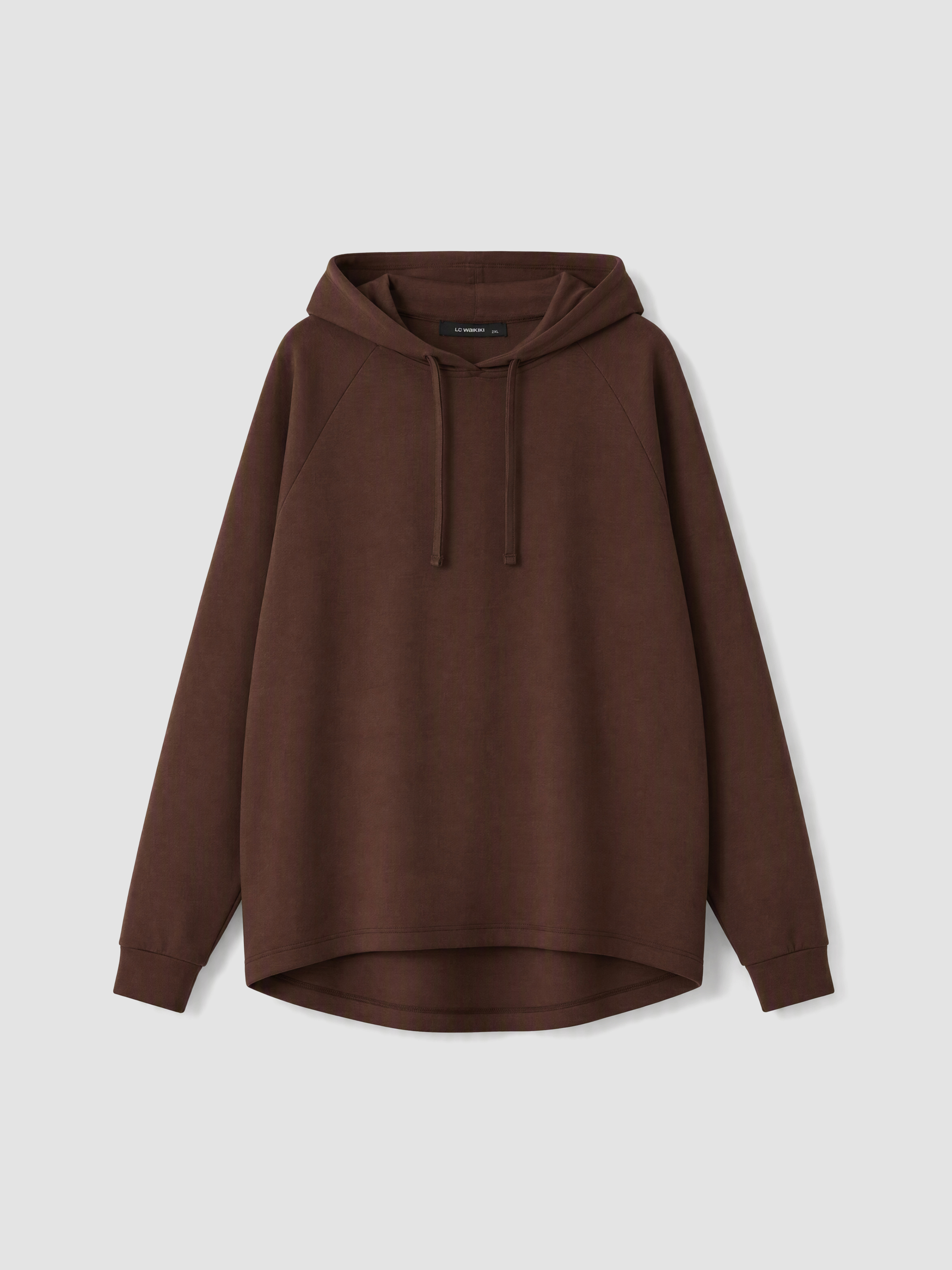 LCW Curve Büyük Beden Kadın Hoodie görsel 3