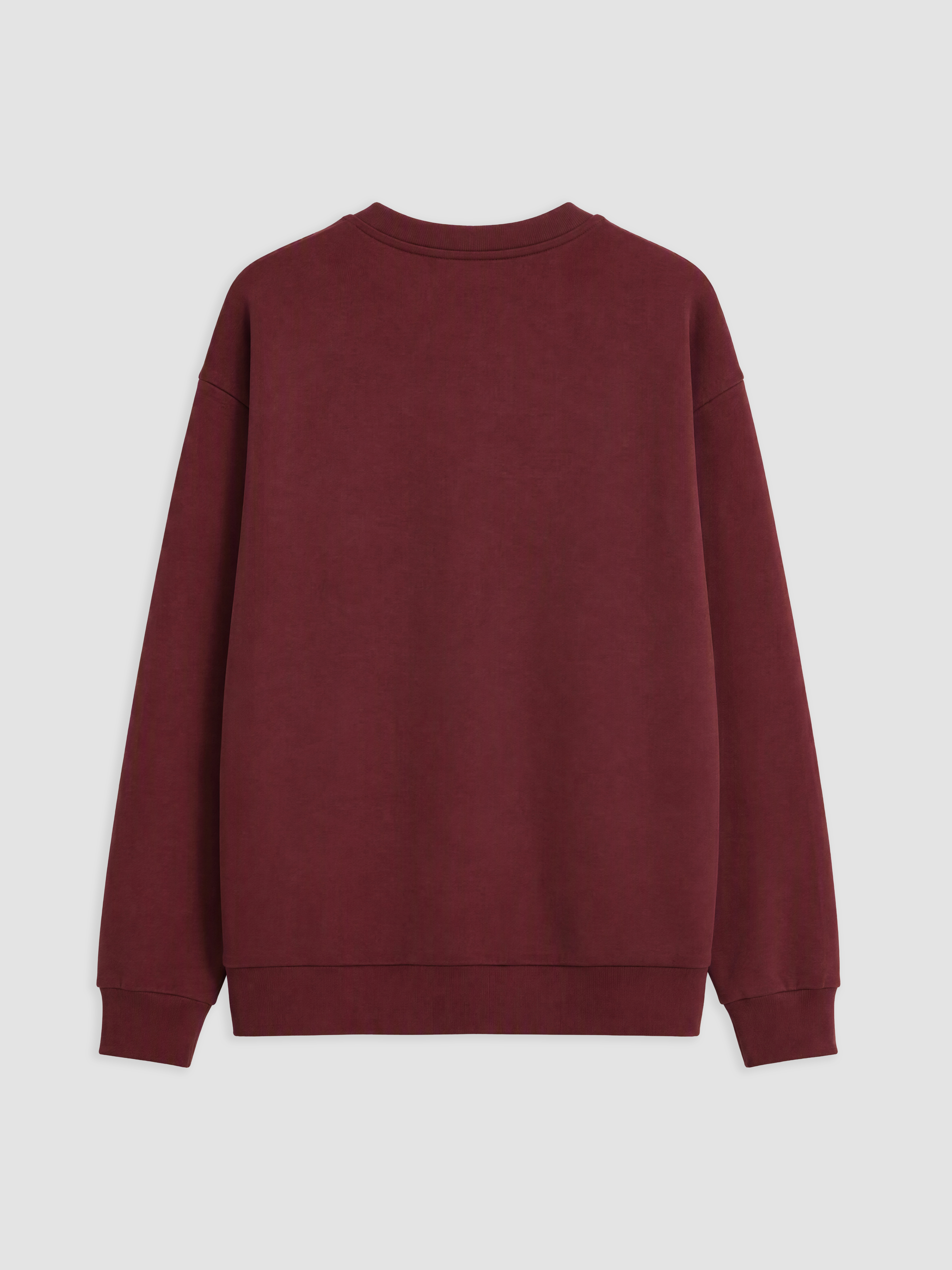 LCW EVERYDAY Soft Touch Kadın Sweatshirt görsel 2