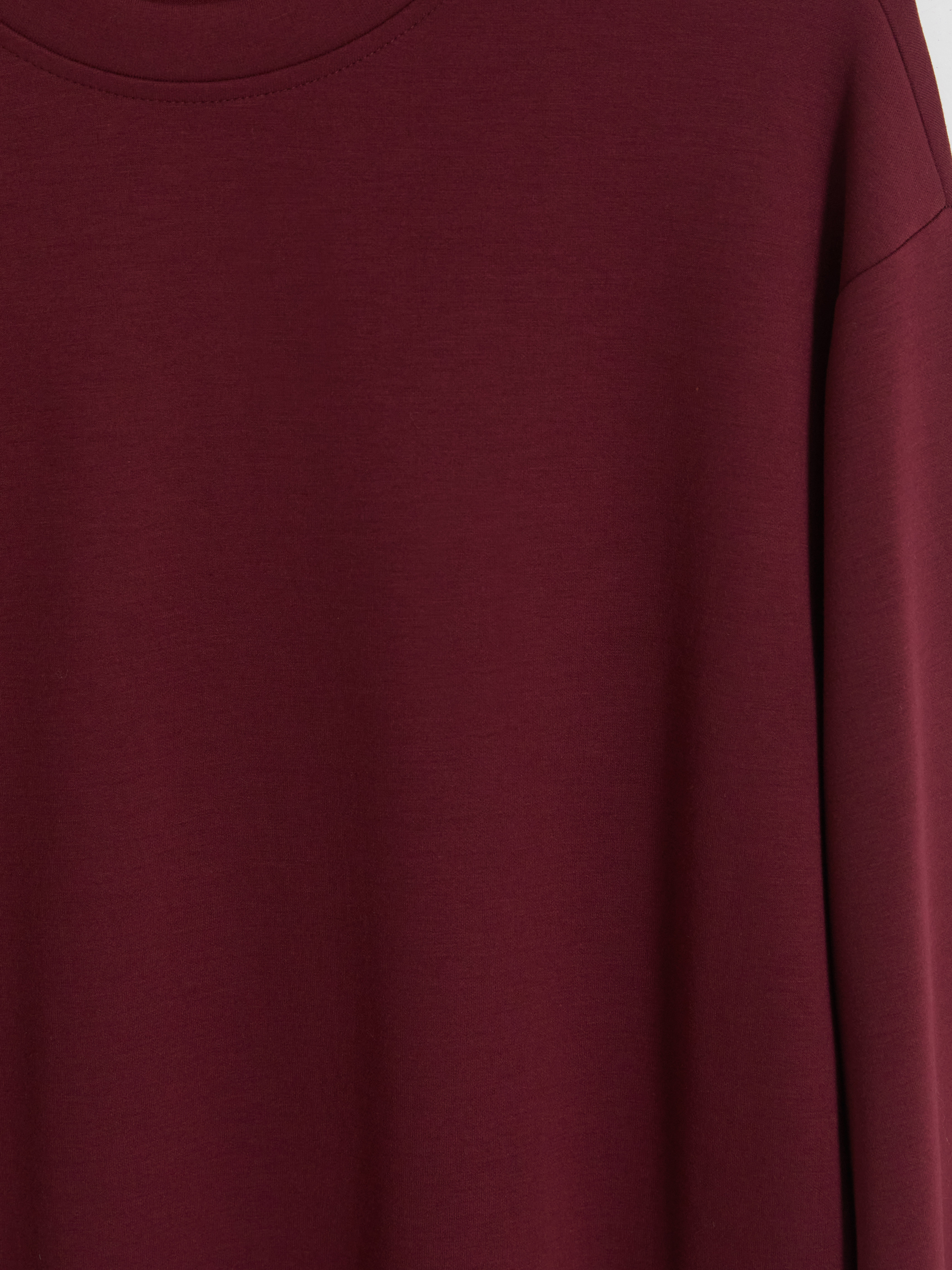 LCW EVERYDAY Soft Touch Kadın Sweatshirt görsel 3