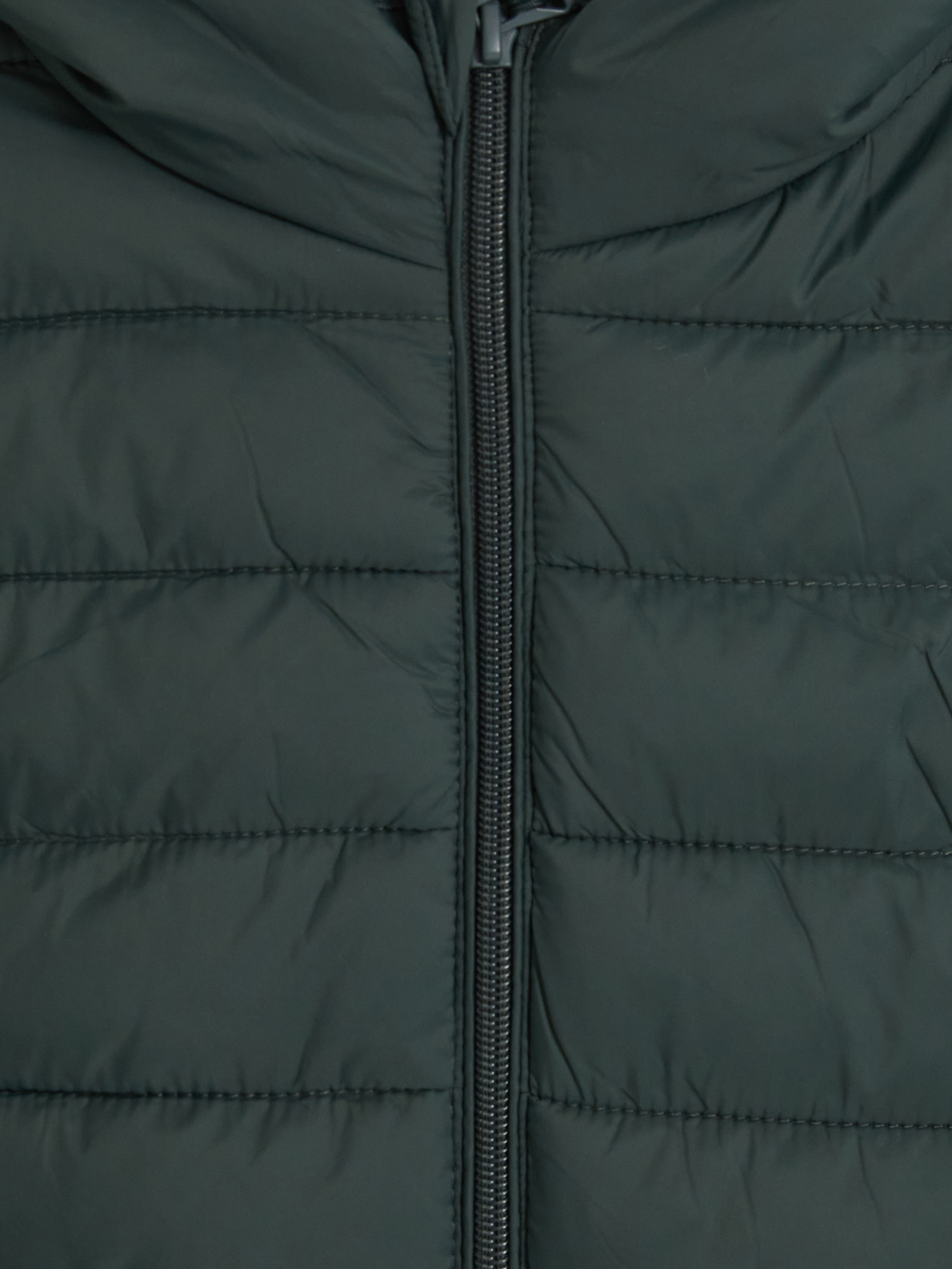 LCWAIKIKI Classic Regular Fit Kapüşonlu Erkek Şişme Mont görsel 6