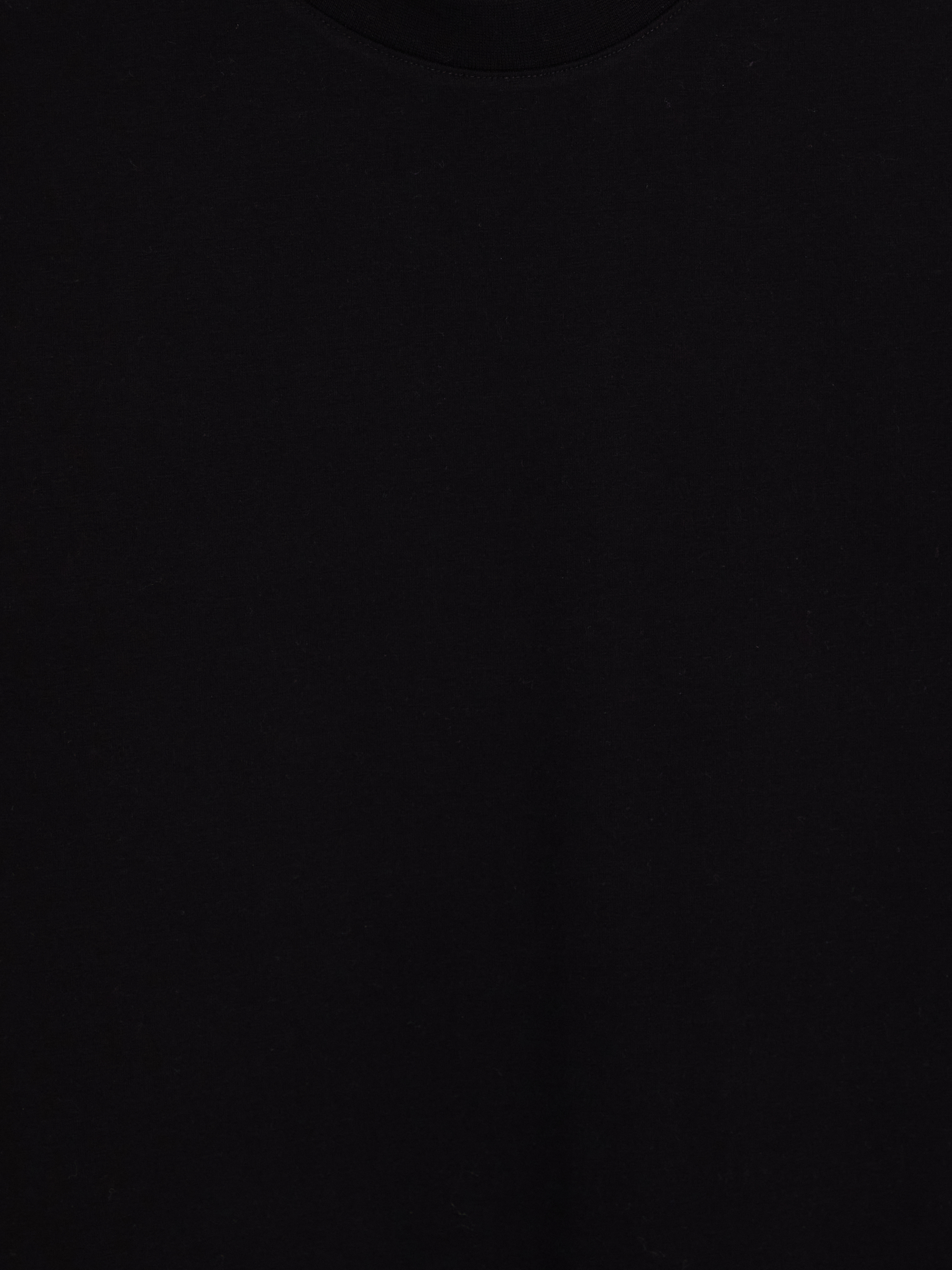 LC WAIKIKI Slim Fit Kalın Kumaş Tişört /02 görsel 6