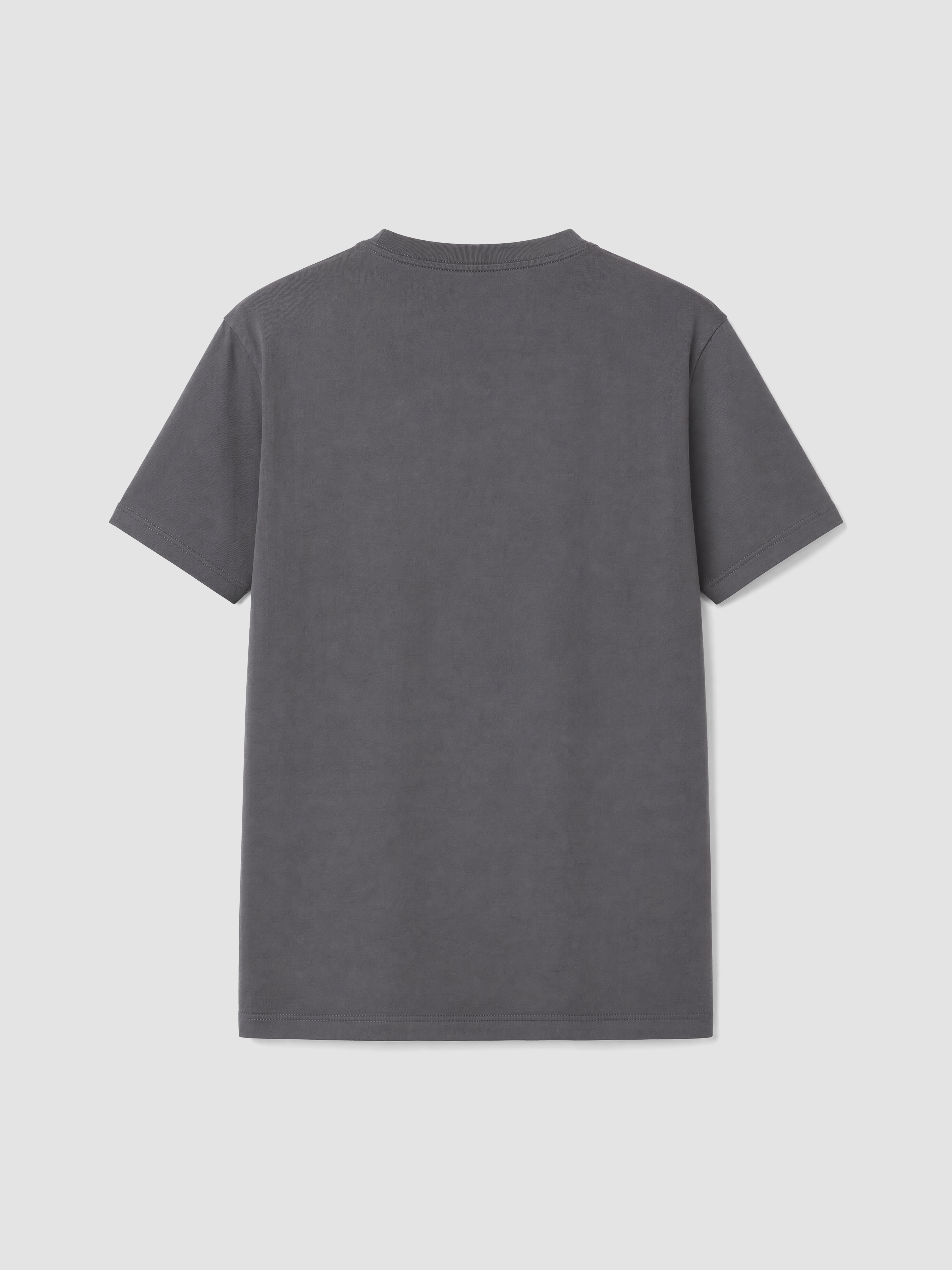 LC WAIKIKI Slim Fit Kalın Kumaş Tişört /02 görsel 7