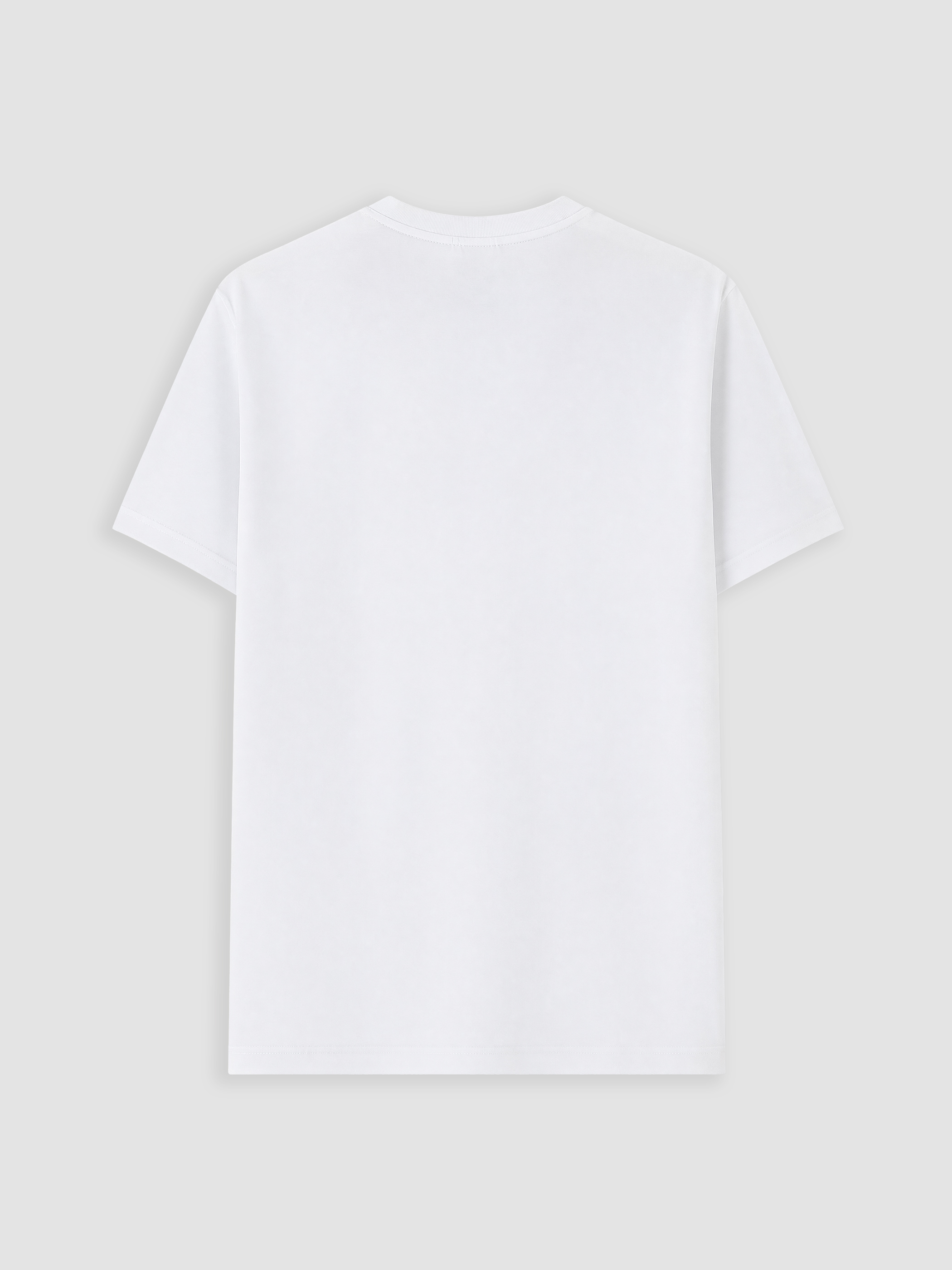 LC WAIKIKI Slim Fit Kalın Kumaş Tişört /02 görsel 7