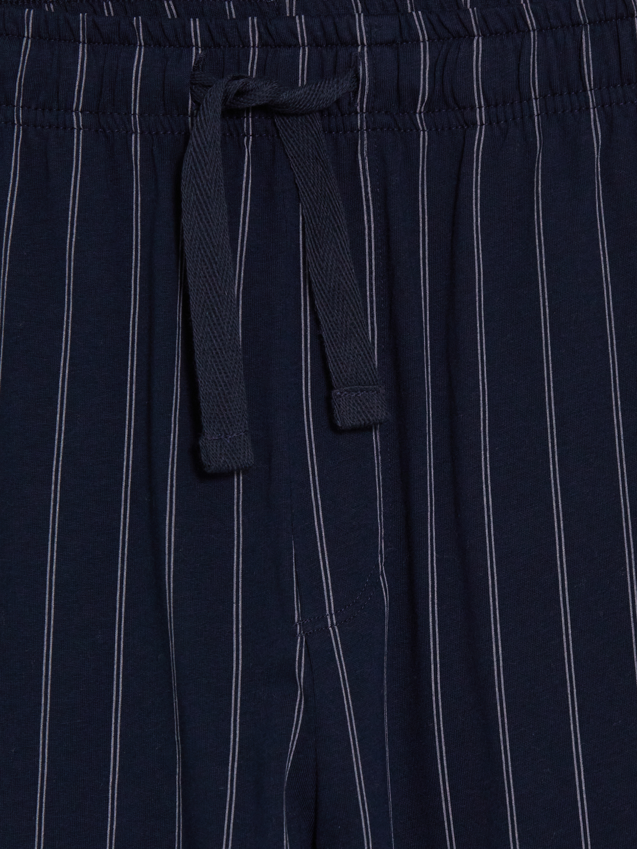 LC WAIKIKI Regular Fit Çizgili Erkek Pijama Altı görsel 6