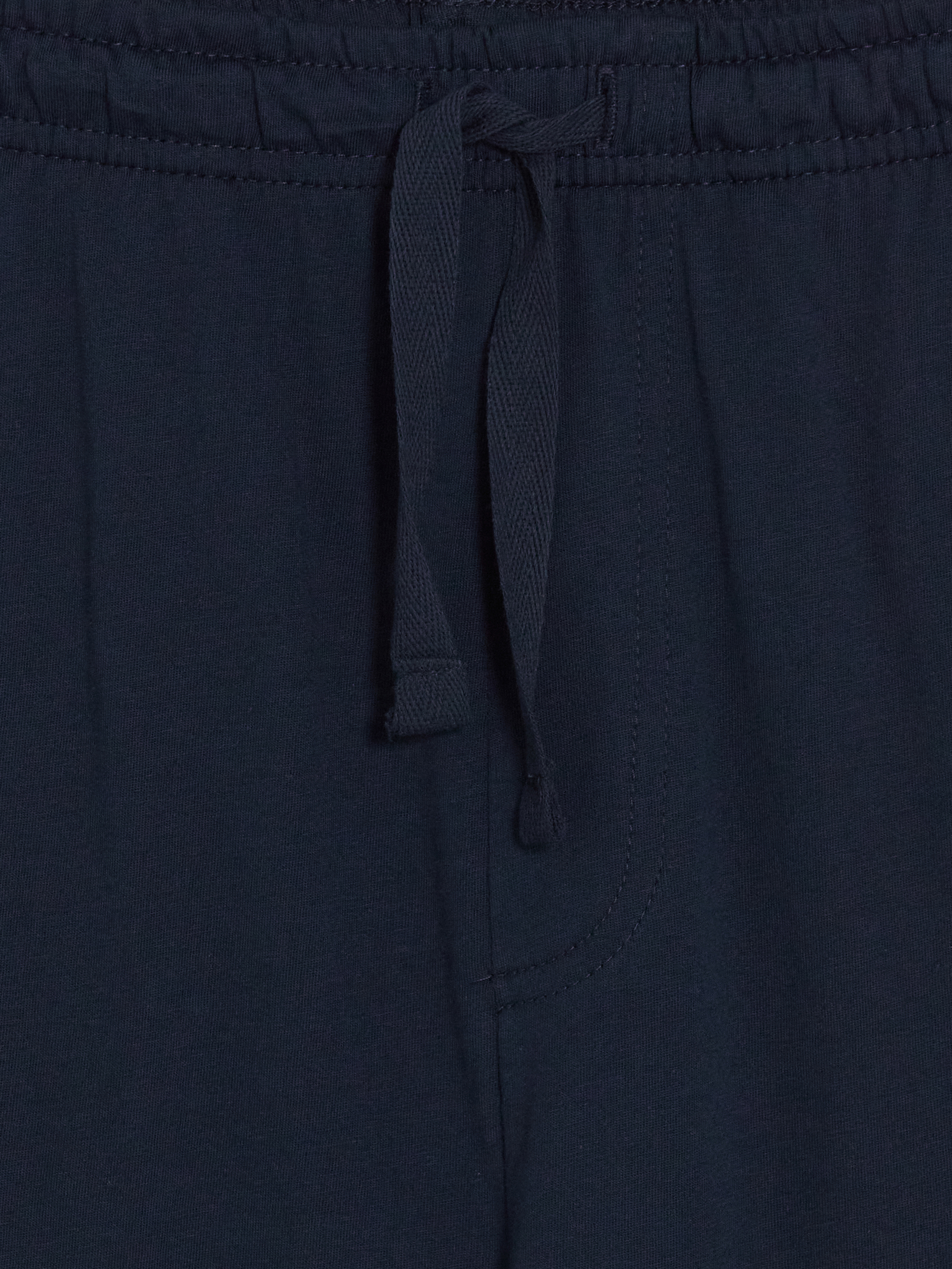 LC WAIKIKI Standart Kalıp Erkek Pijama Altı görsel 4