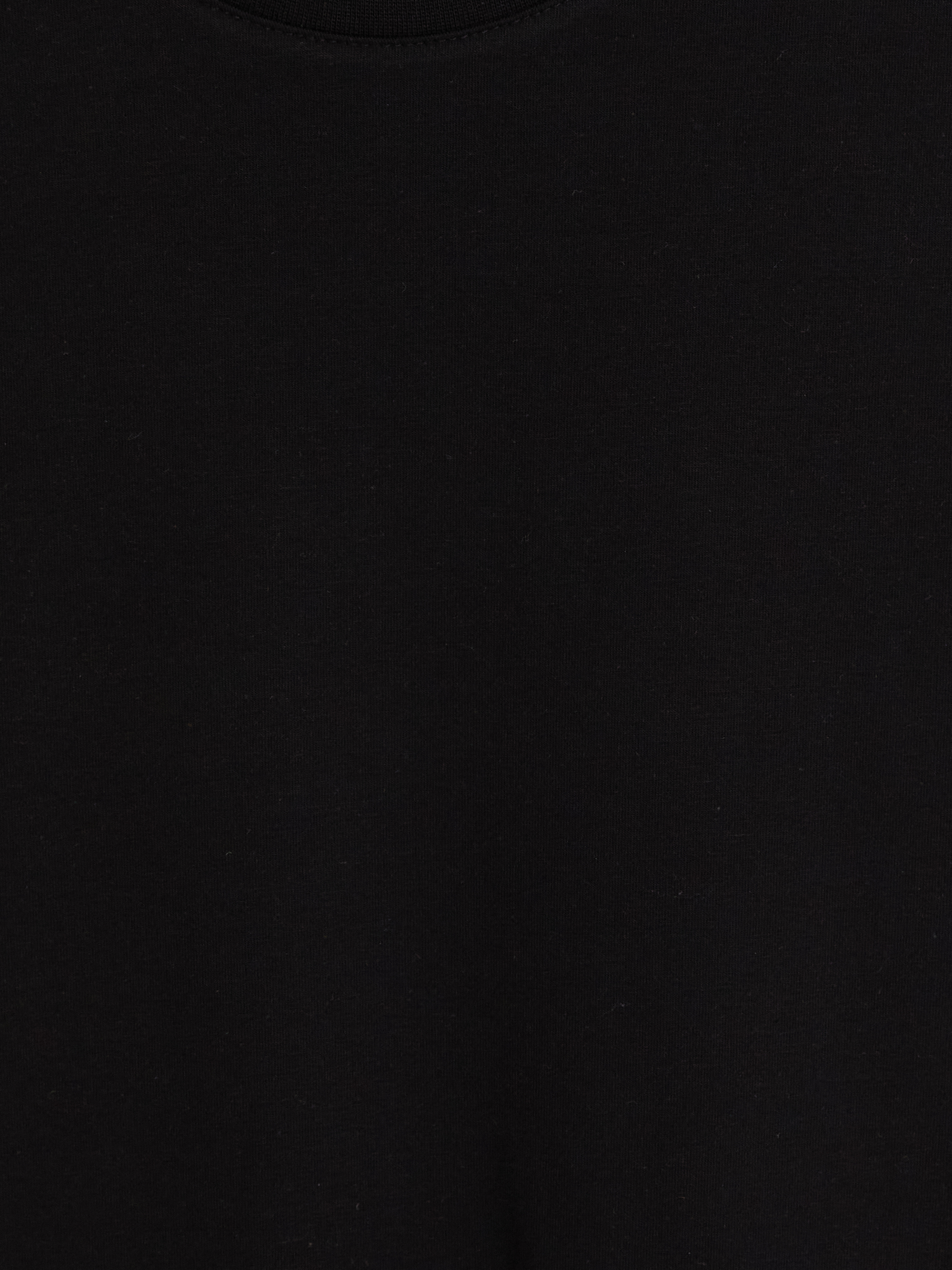 LC WAIKIKI Slim Fit Modal Kumaş Tişört /02 görsel 5