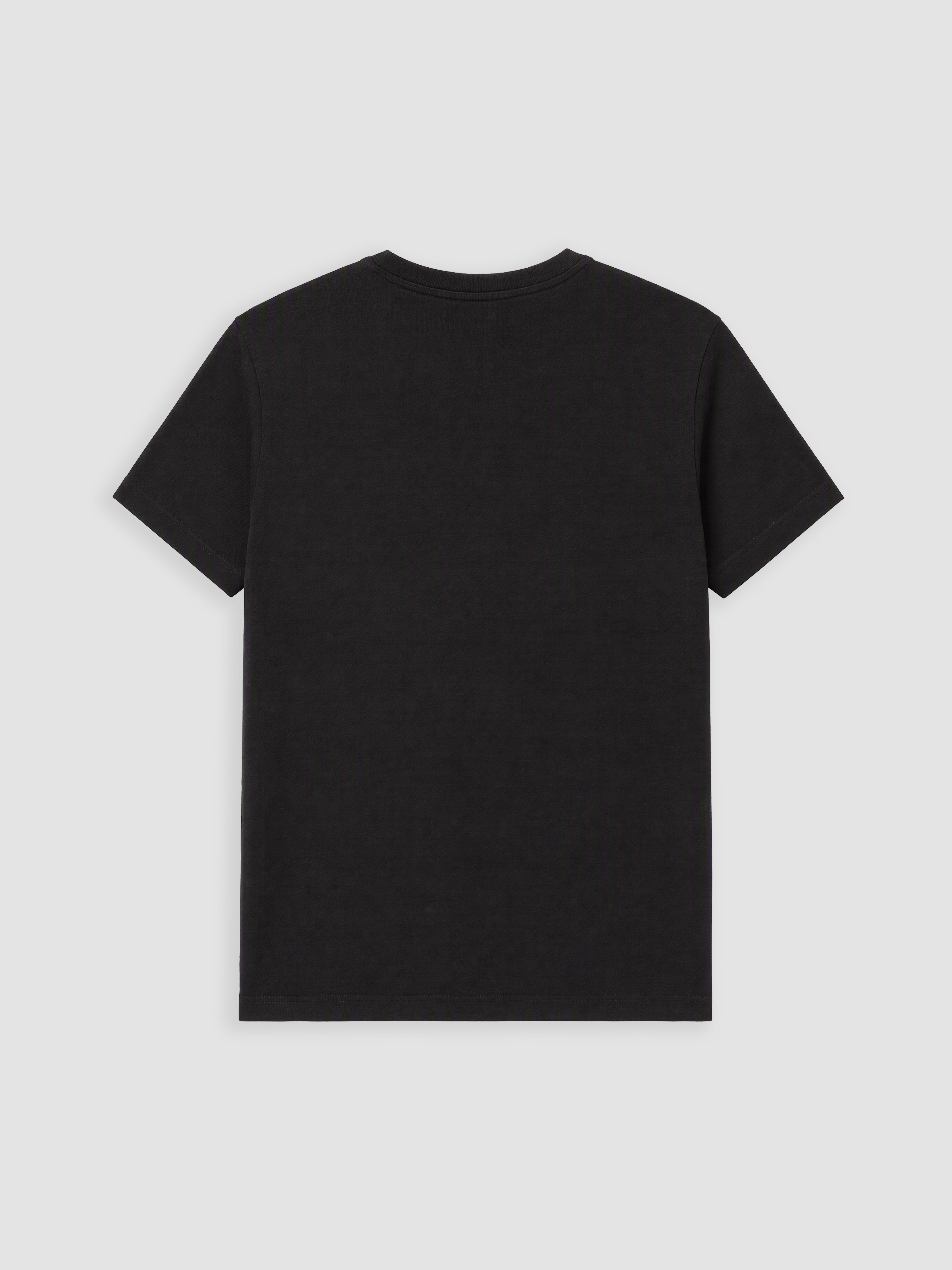 LC WAIKIKI Slim Fit Modal Kumaş Tişört /02 görsel 6