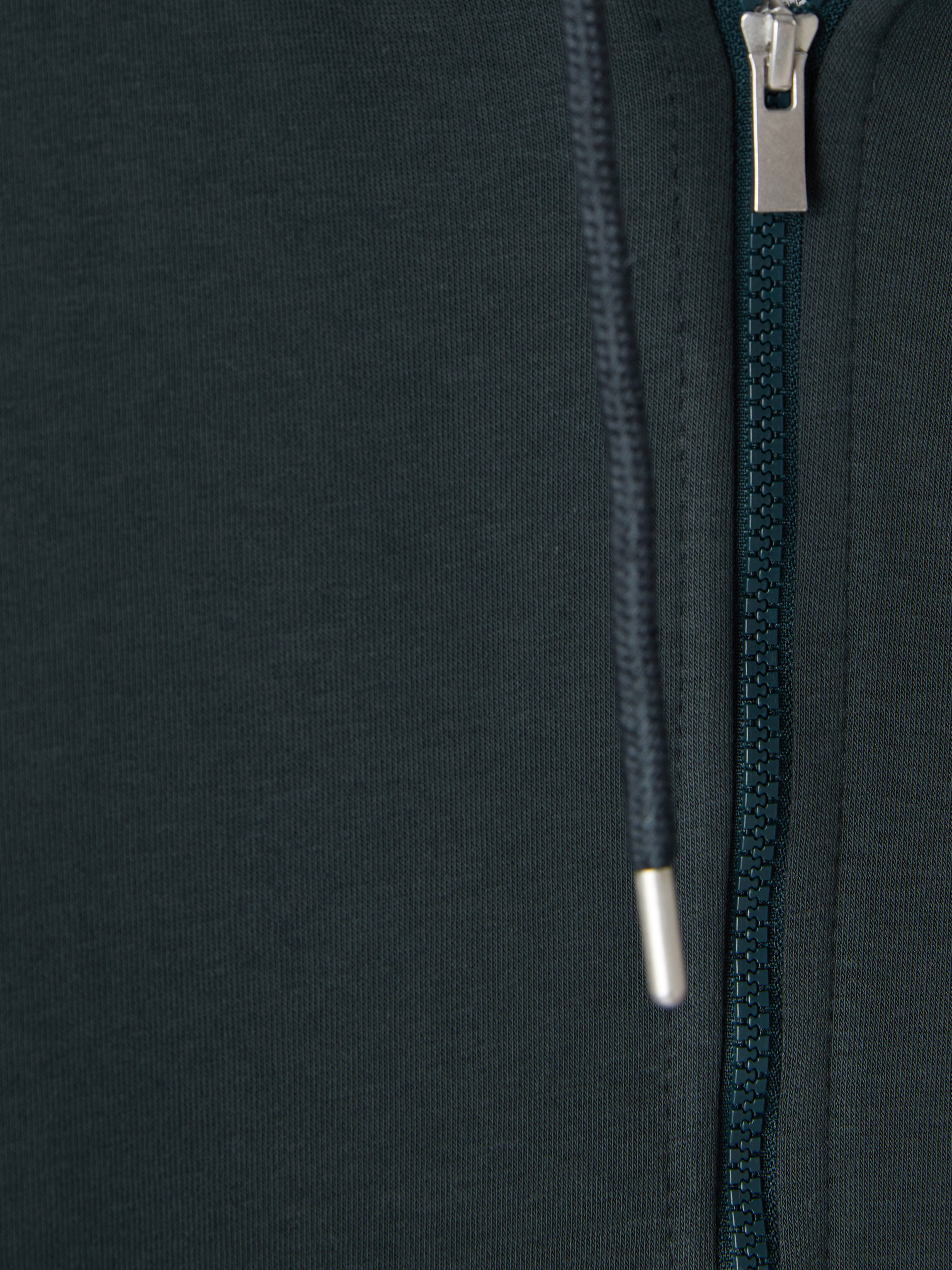 LCWAIKIKI Classic Kapüşonlu Erkek Fermuarlı Sweatshirt görsel 7